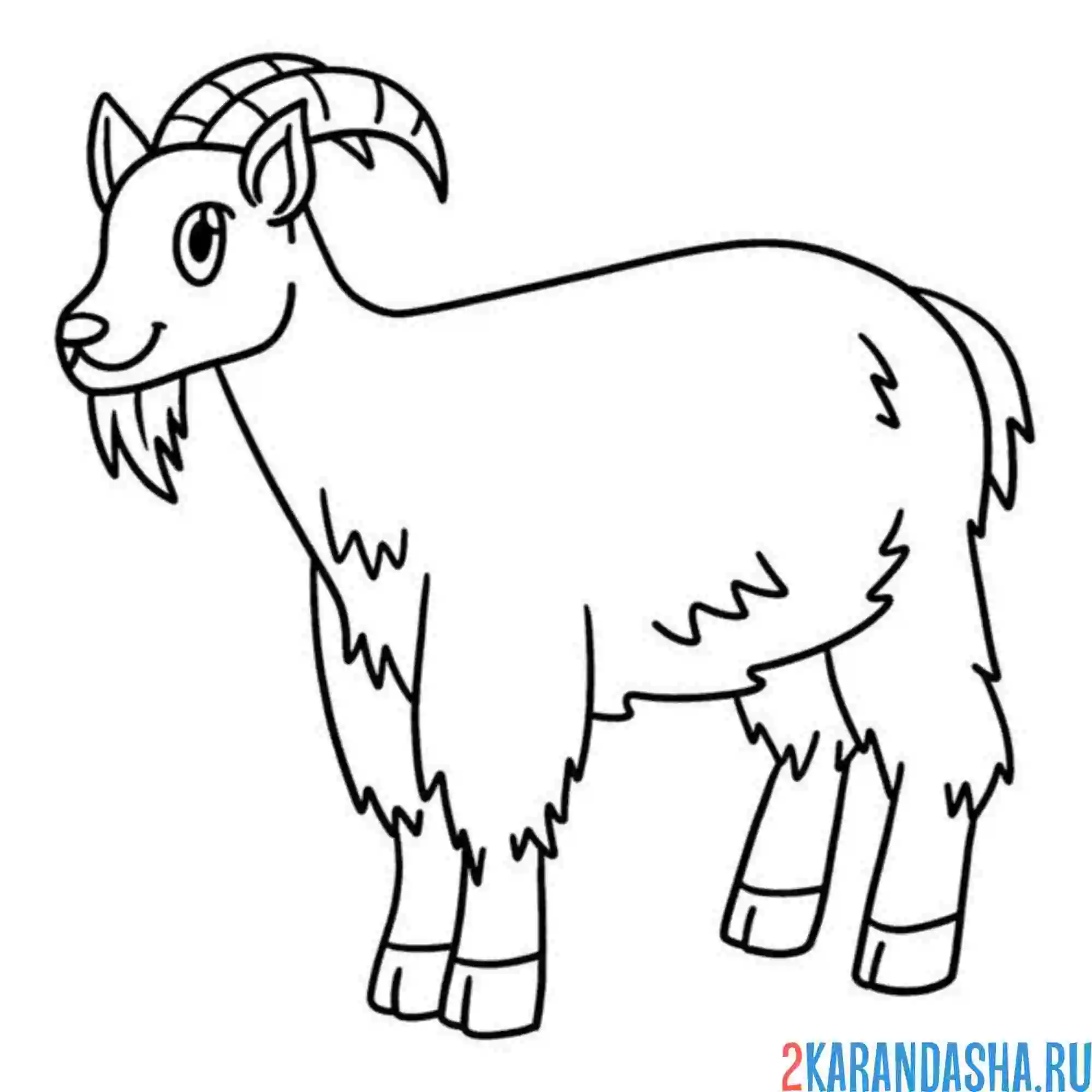 Раскраска козел беее