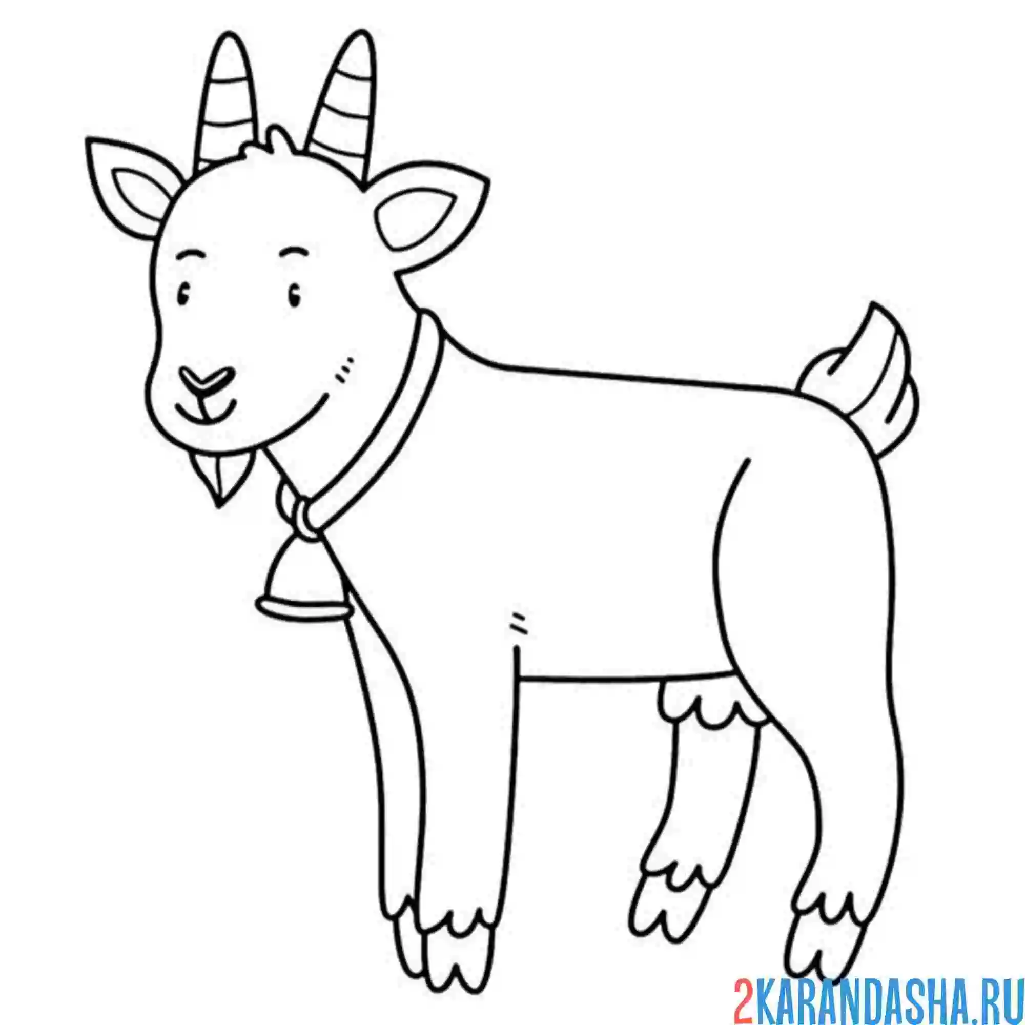 Раскраска борода у козлика