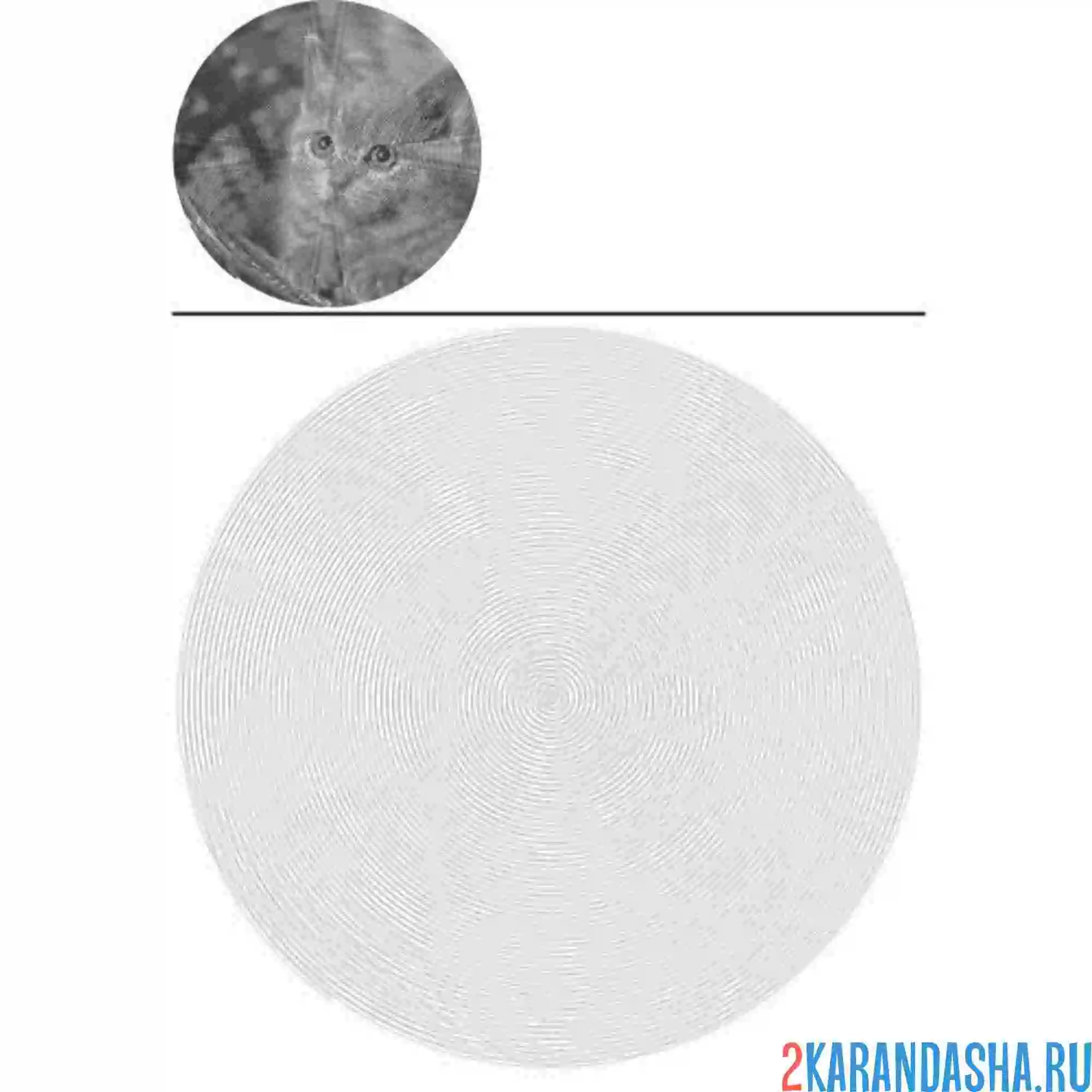 Раскраска милашный котенок