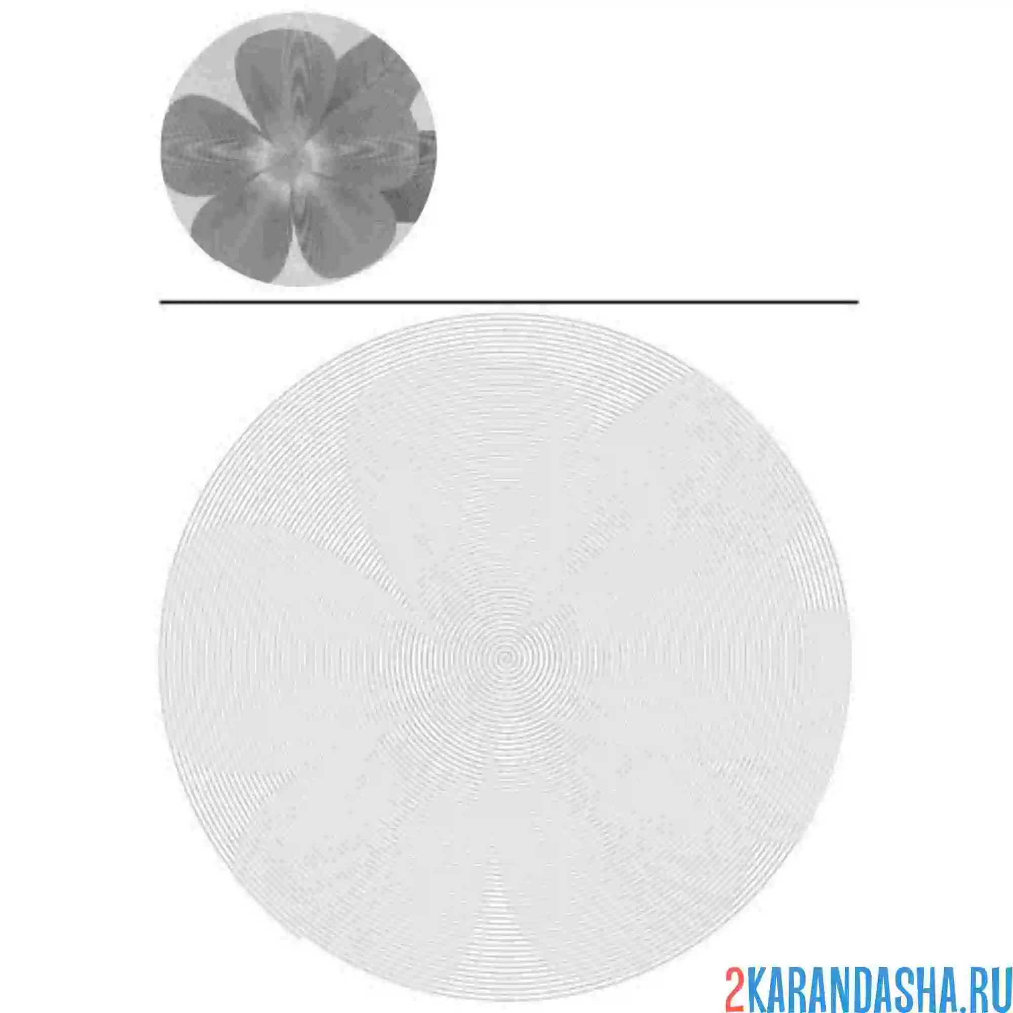 Раскраска большой крупный цветок