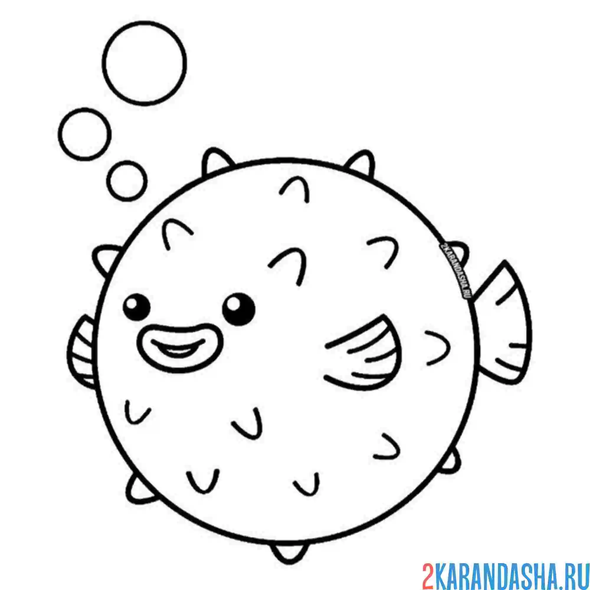 Раскраска рыба фугу