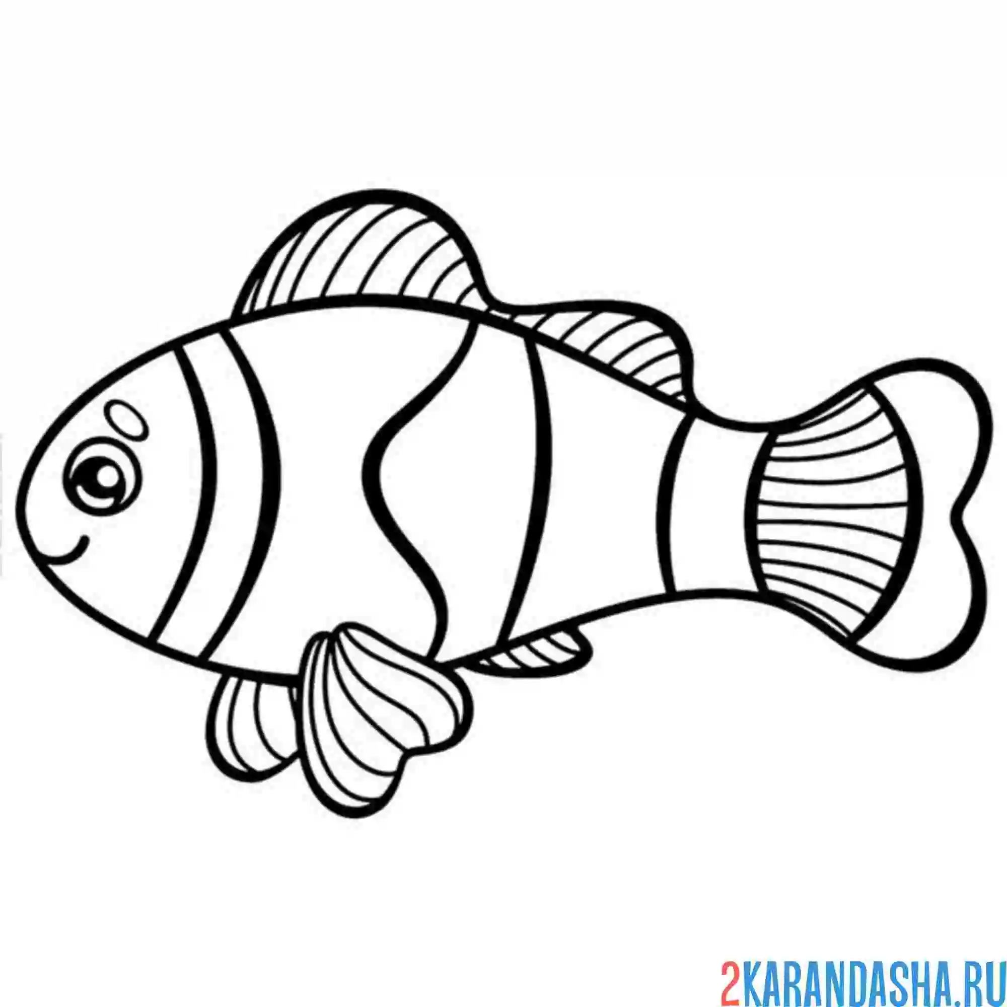 Раскраска рыба клоун