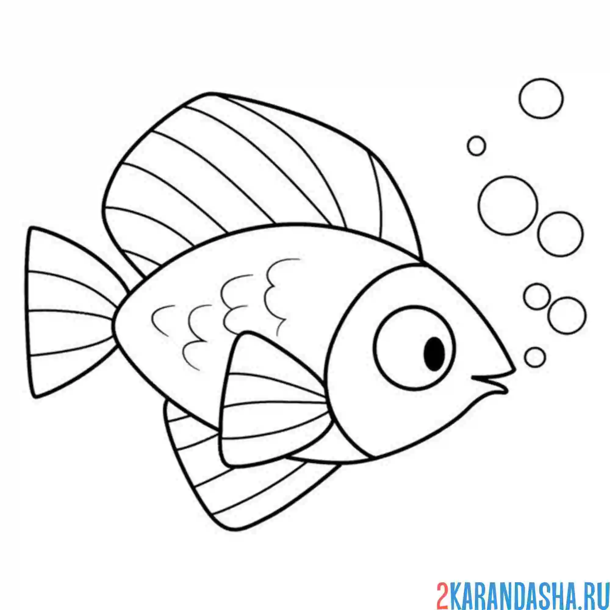 Раскраска рыба с пузырями