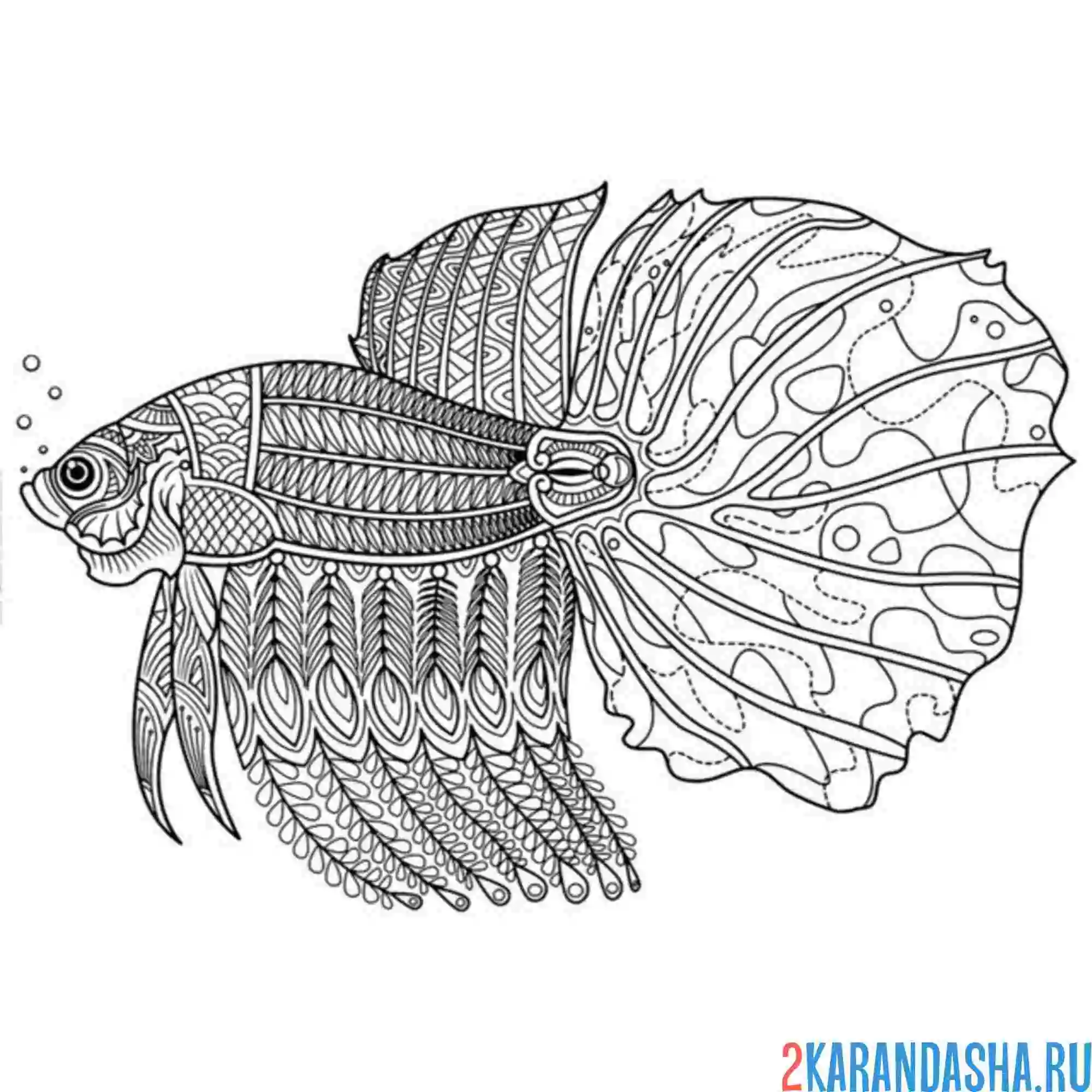 Раскраска антистресс рыба