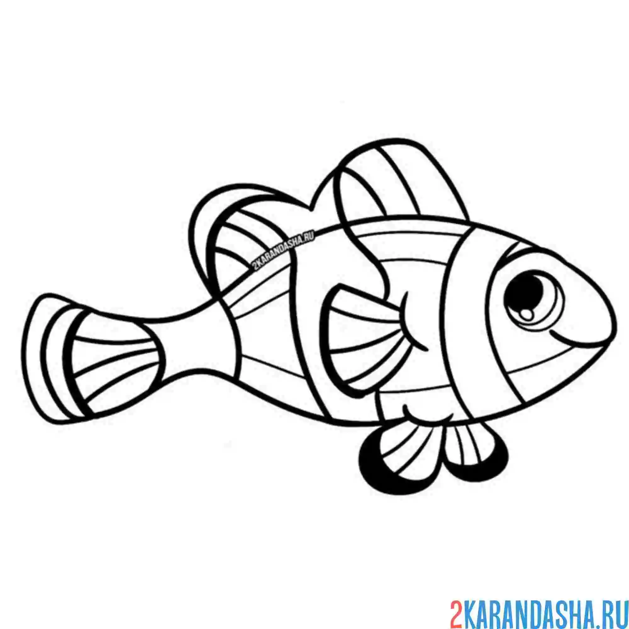 Раскраска морская рыба клоун