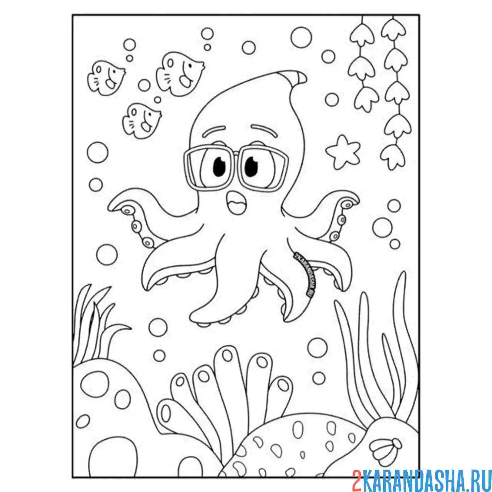 Раскраска очкарик осьминог