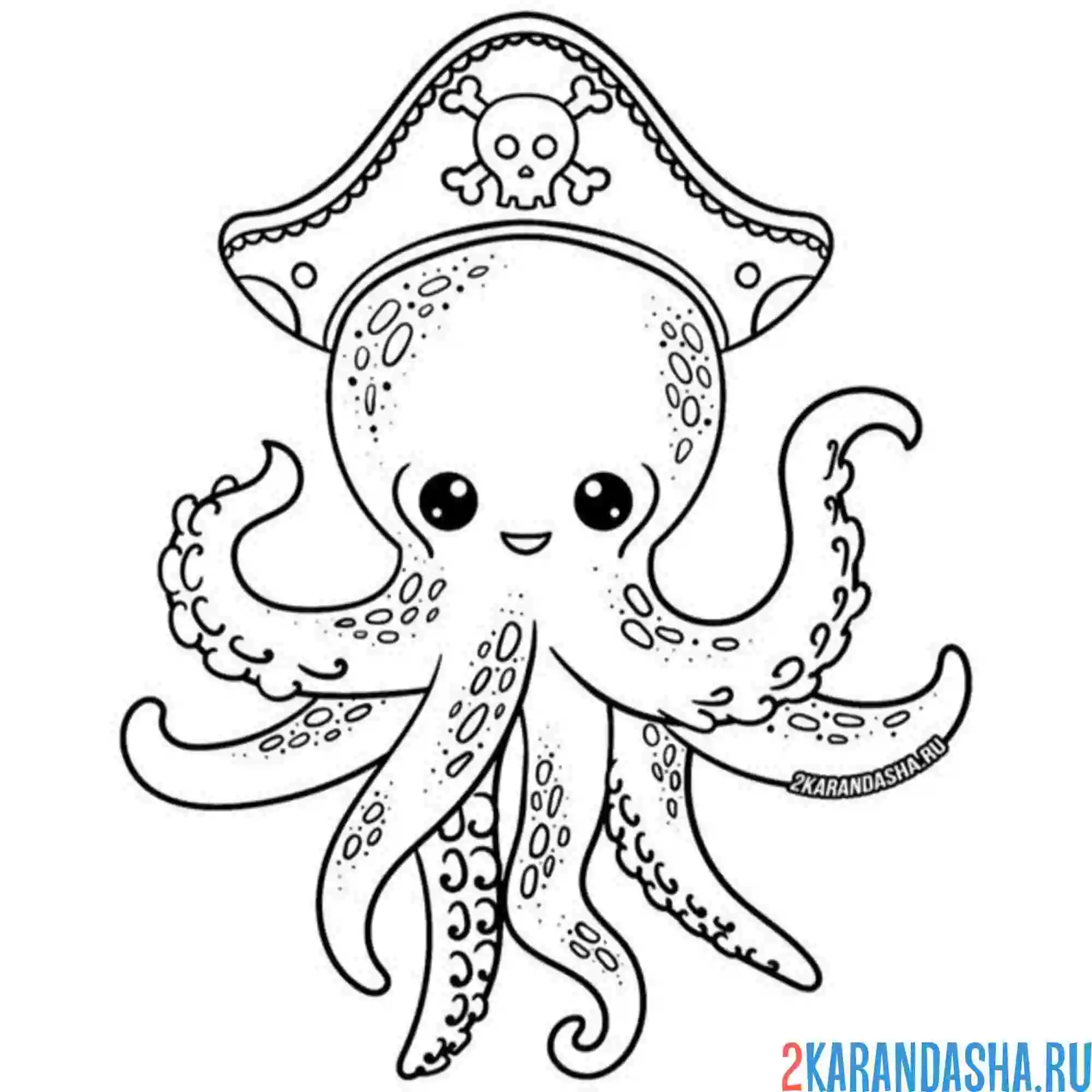 Раскраска осьминог пират