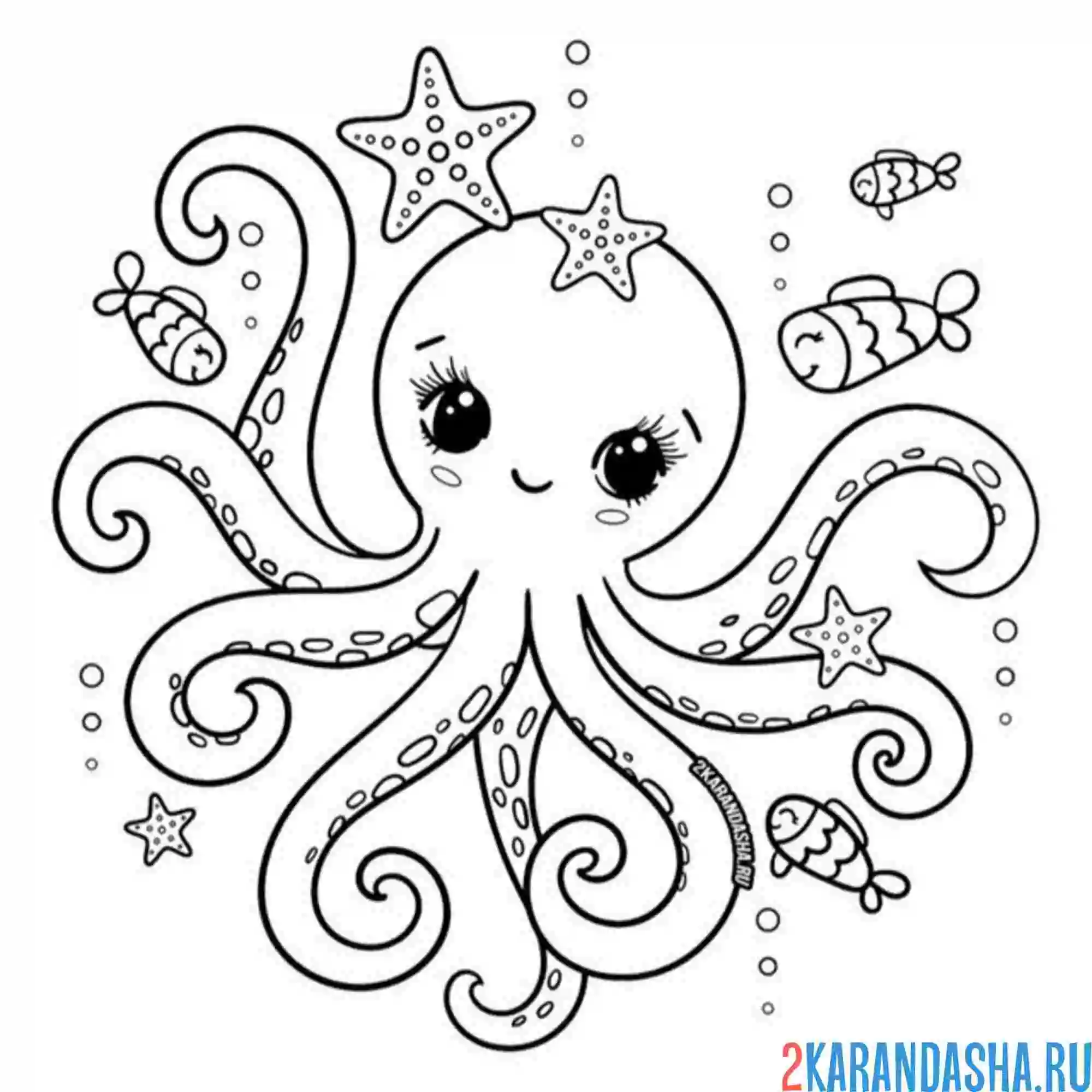 Раскраска красивый осьминог