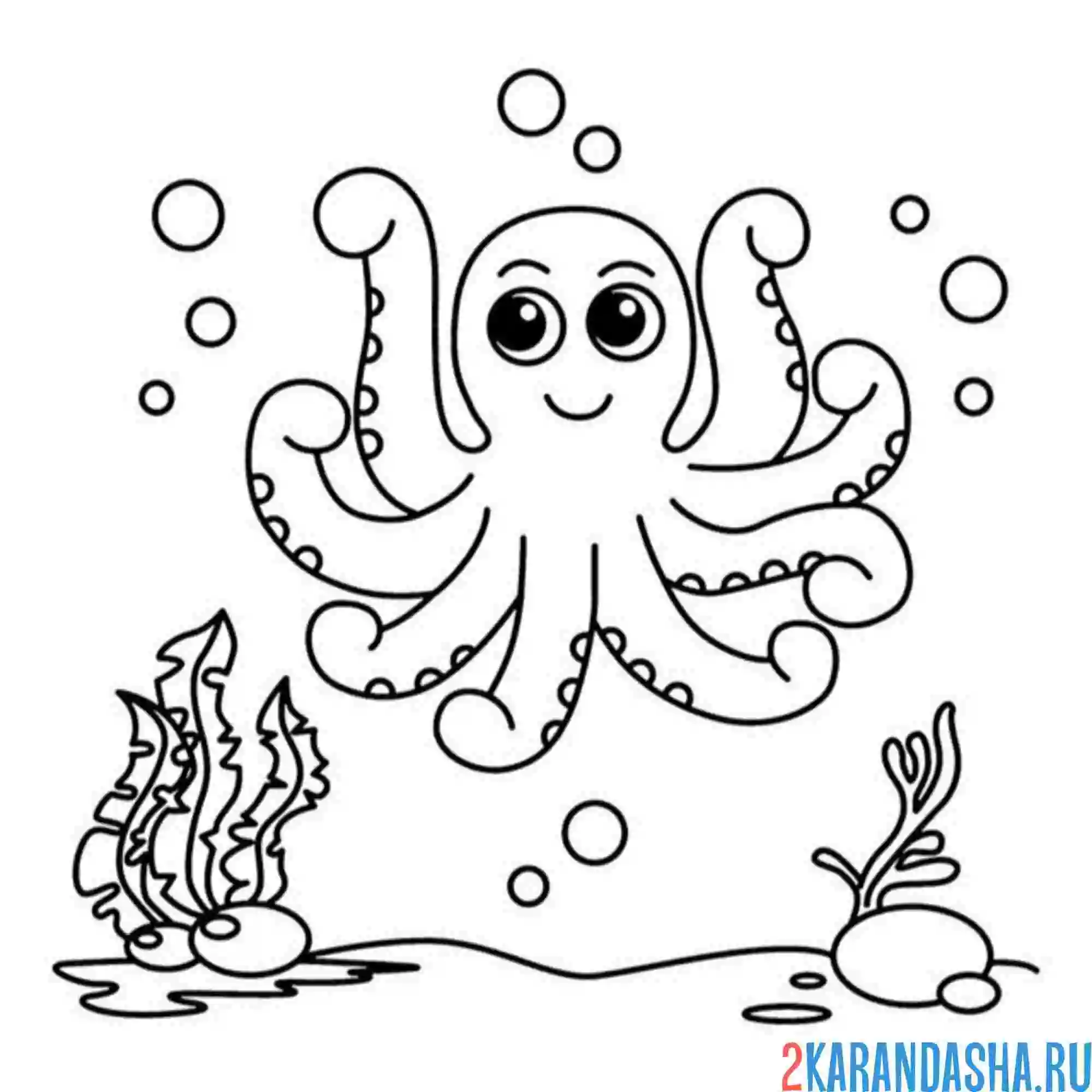 Раскраска осьминог плавающий