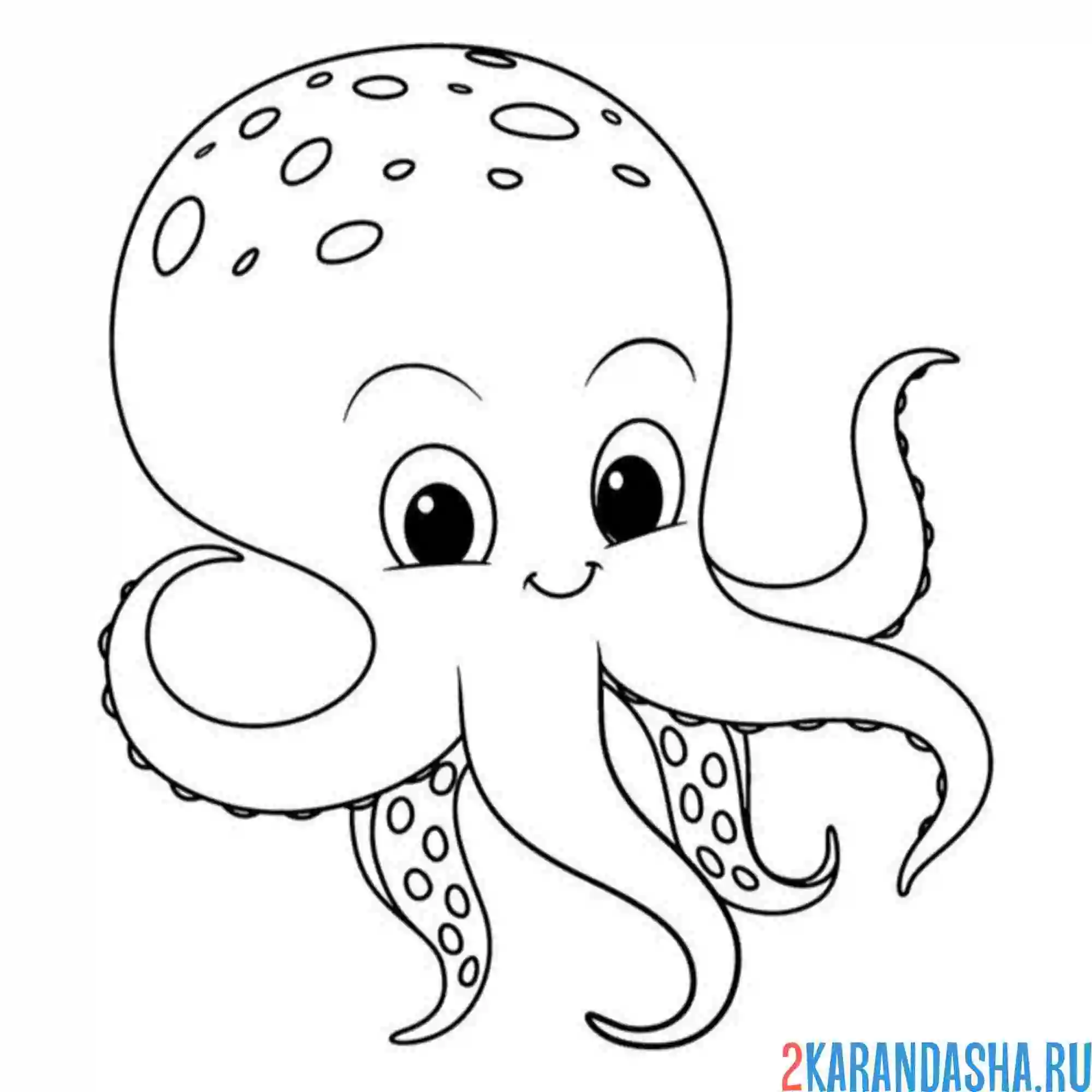 Раскраска осьминог осьминожек