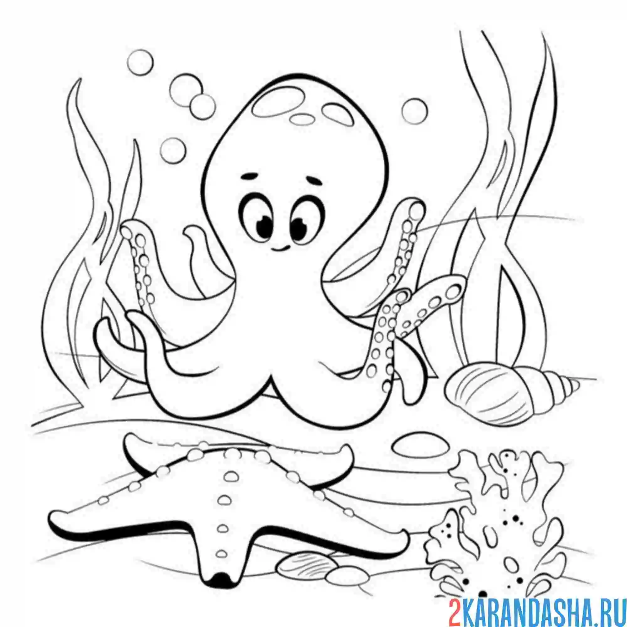 Раскраска осьминог и морская звезда