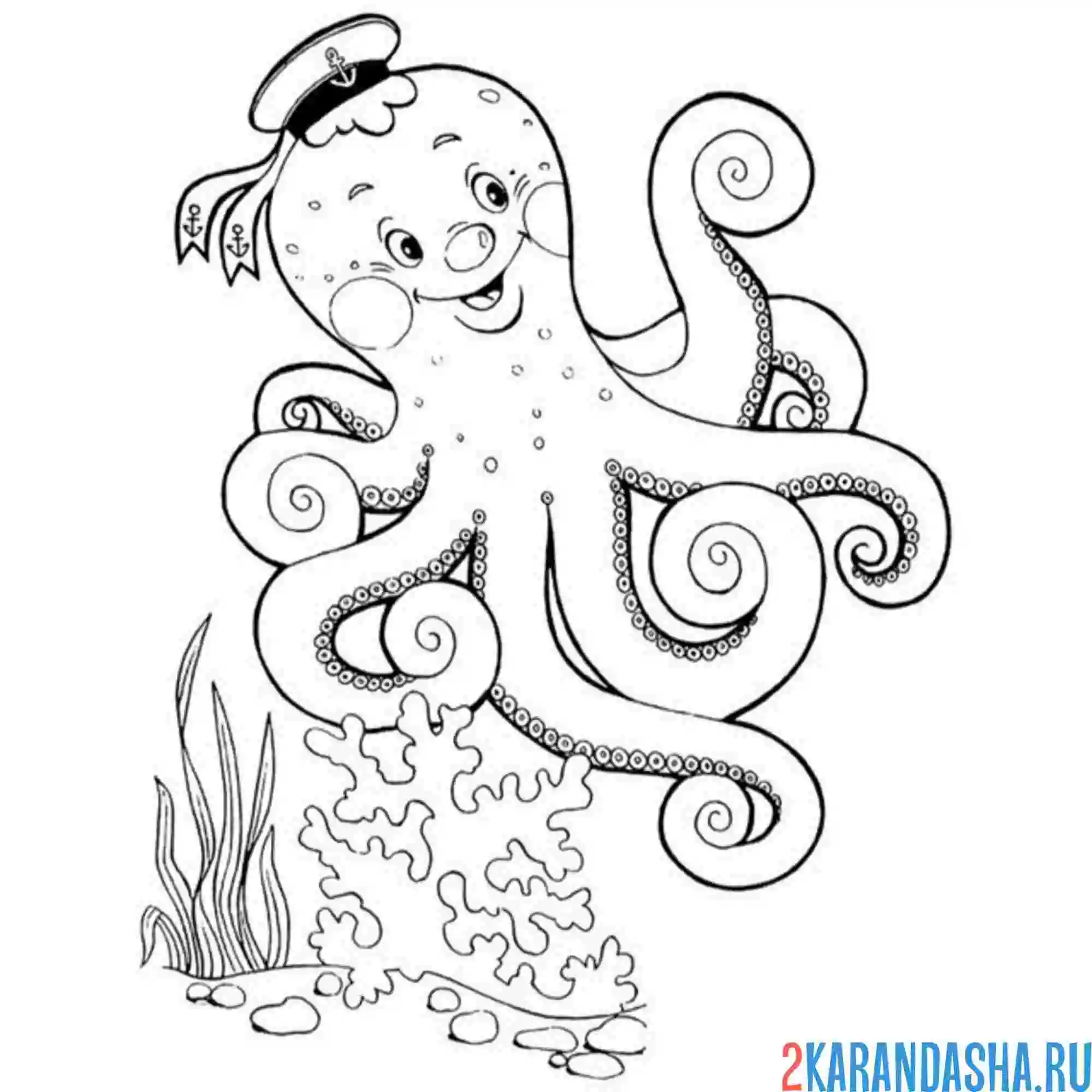 Раскраска осьминог матрос