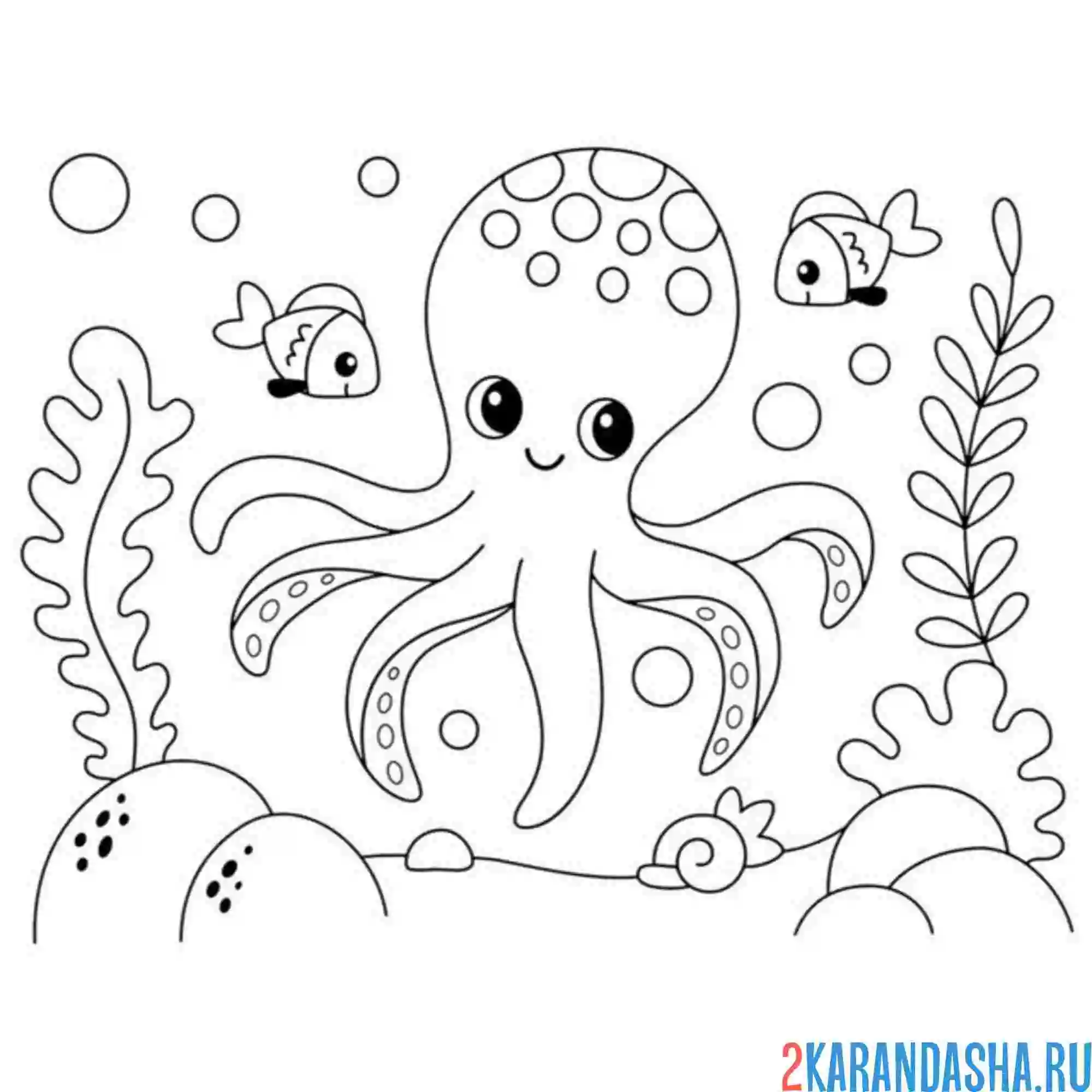 Раскраска осьминог и рыбки