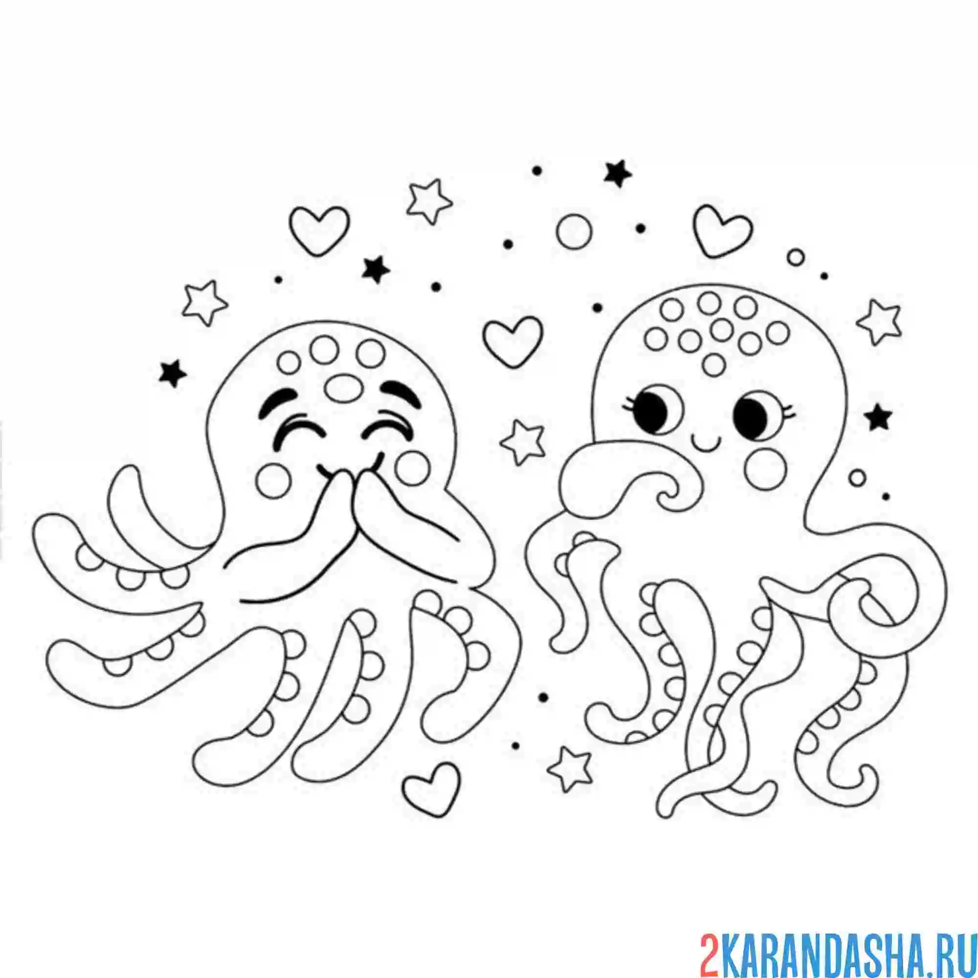 Раскраска два влюбленных осьминога