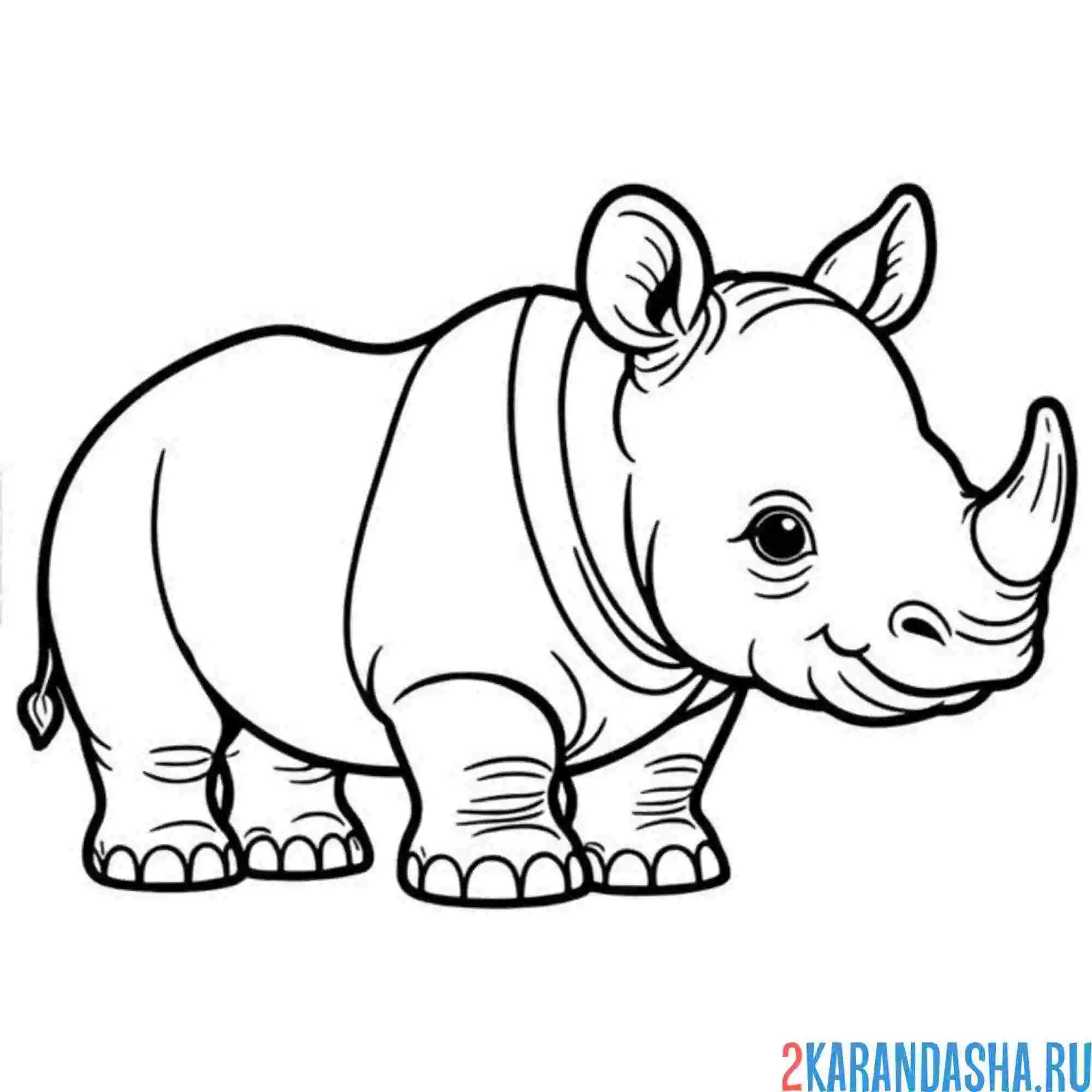 Раскраска толстенький носорог