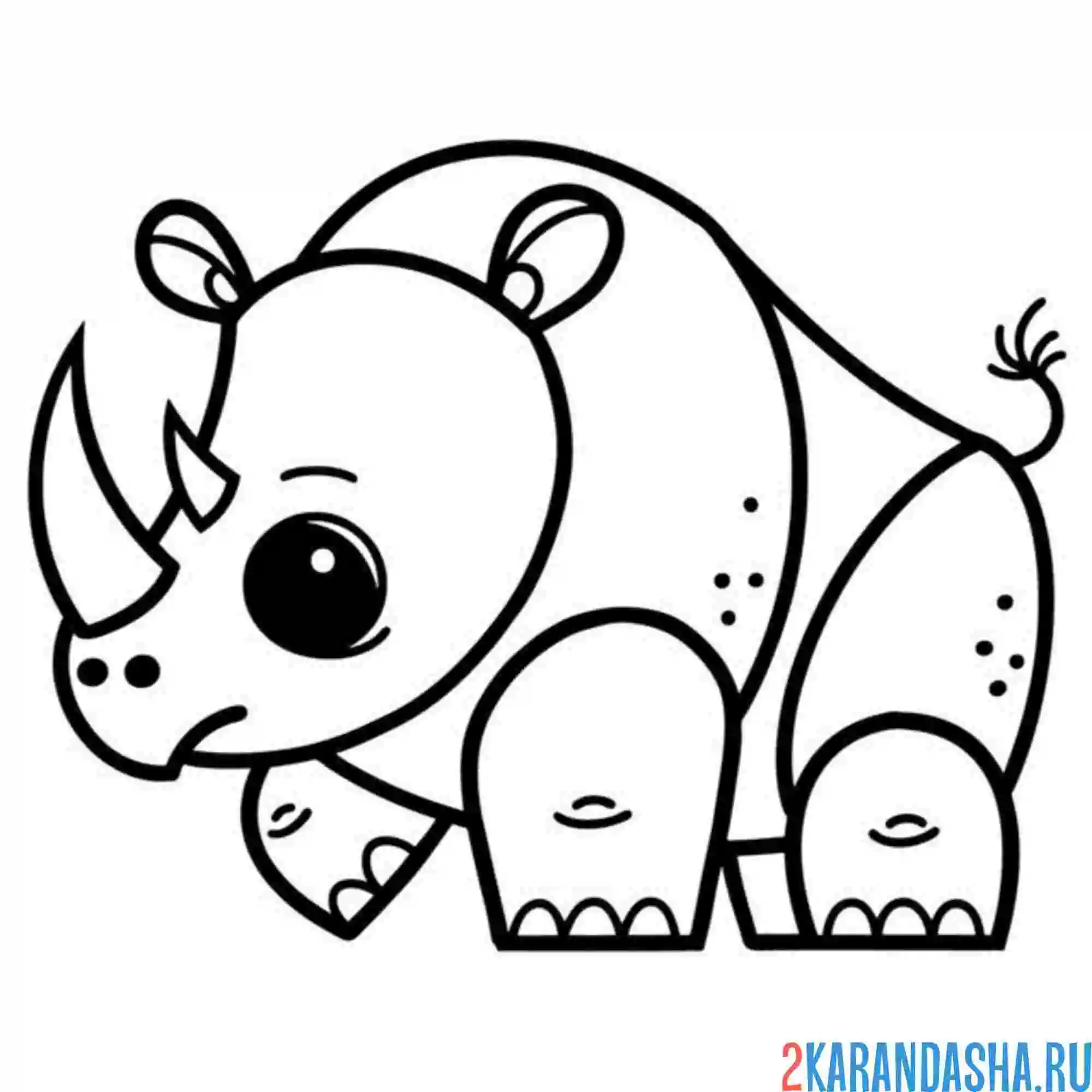 Раскраска носорог рисунок