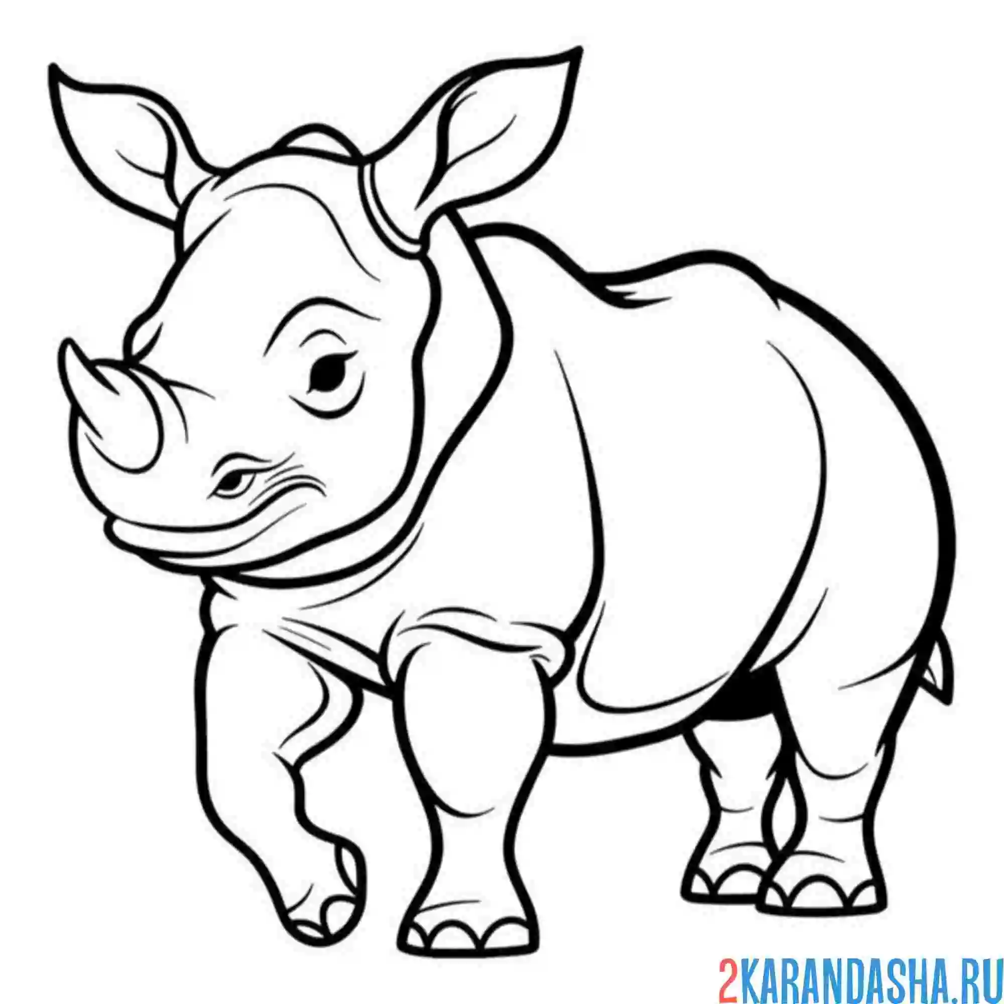Раскраска взрослый носорог