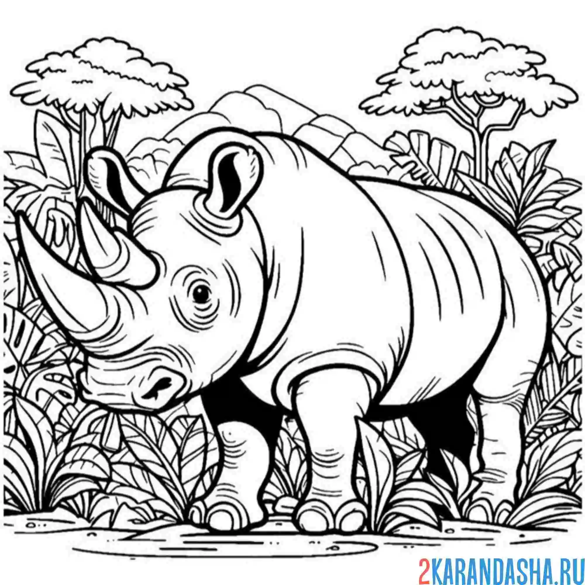 Раскраска носорог в густом лесу