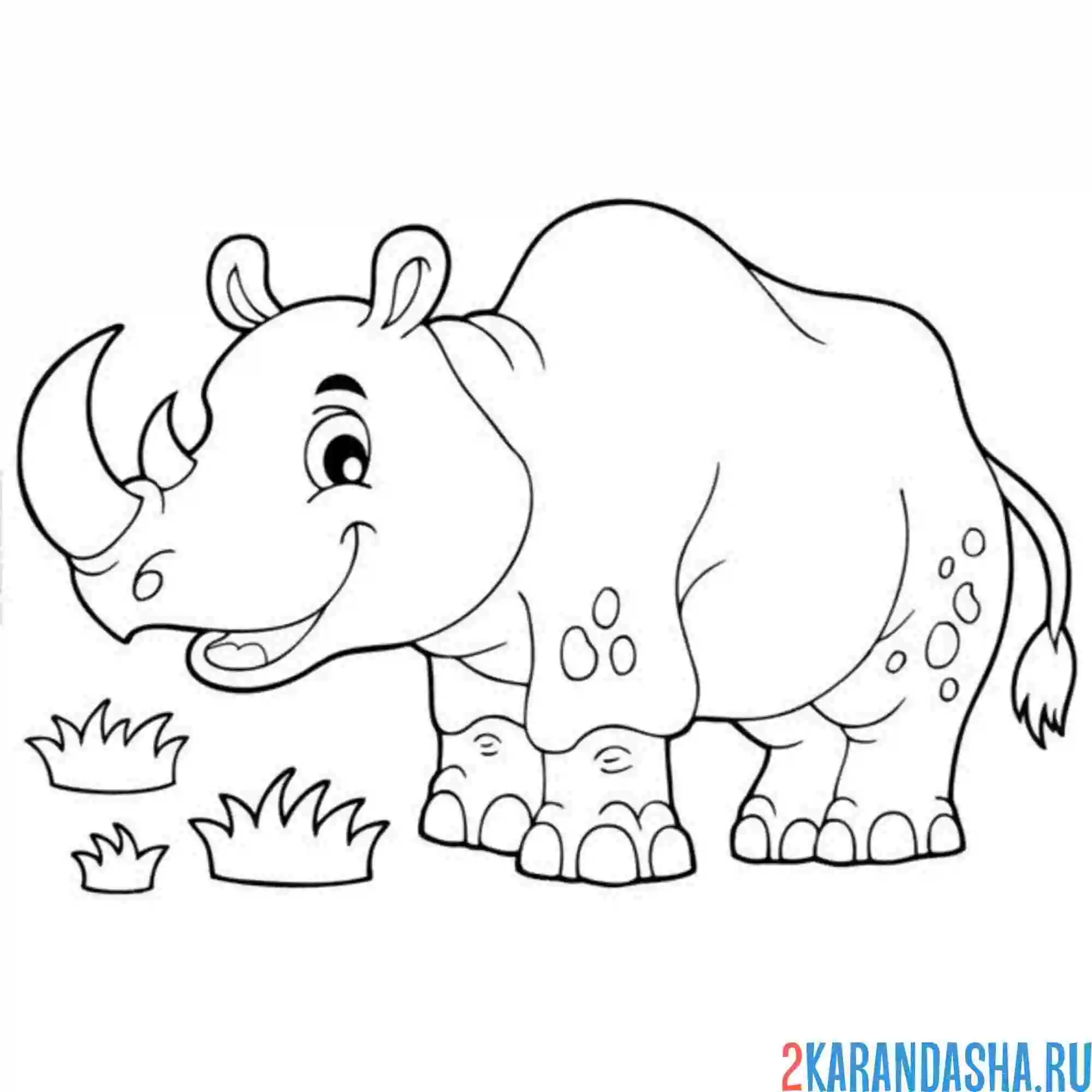 Раскраска носорог довольный улыбается