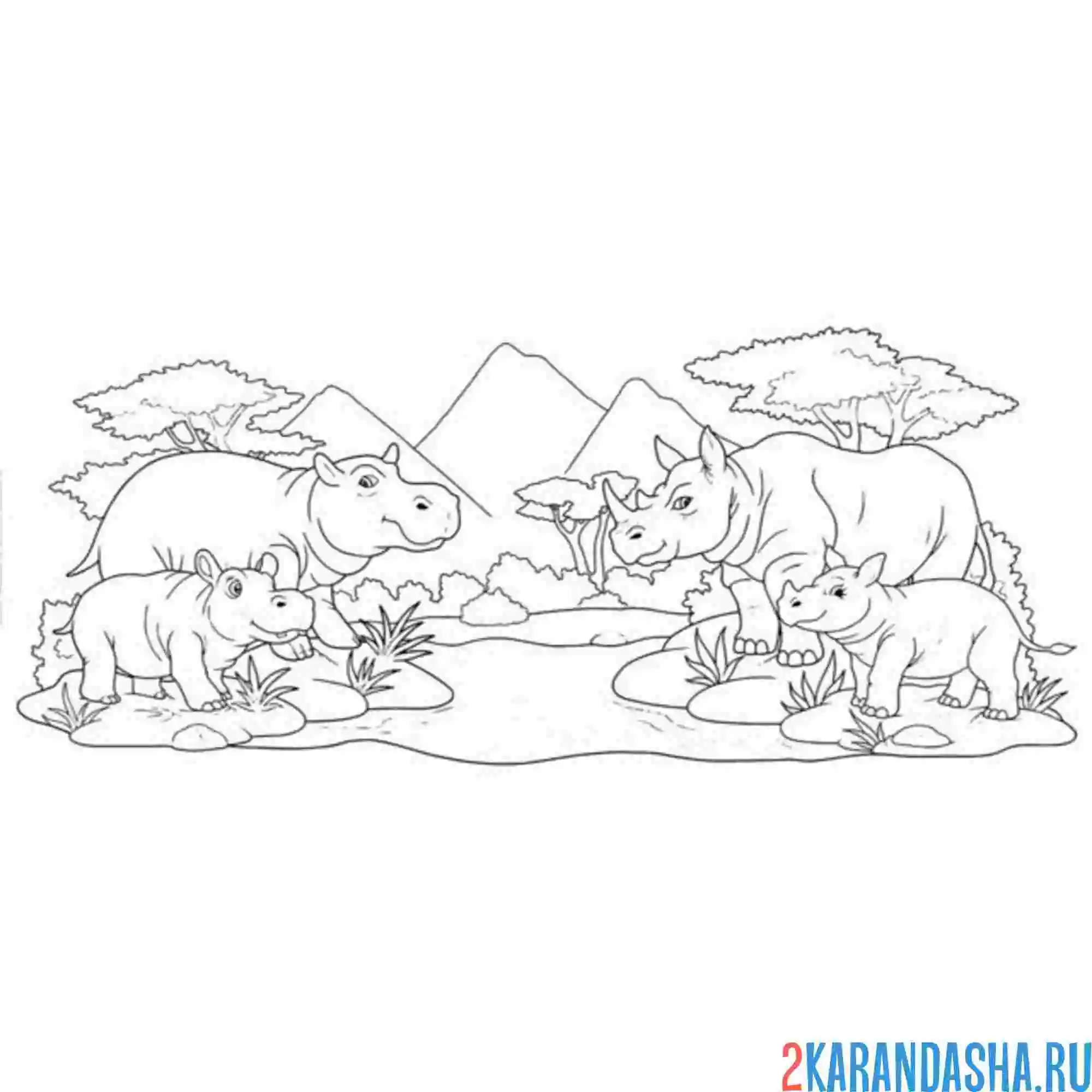 Раскраска носороги и бегемоты