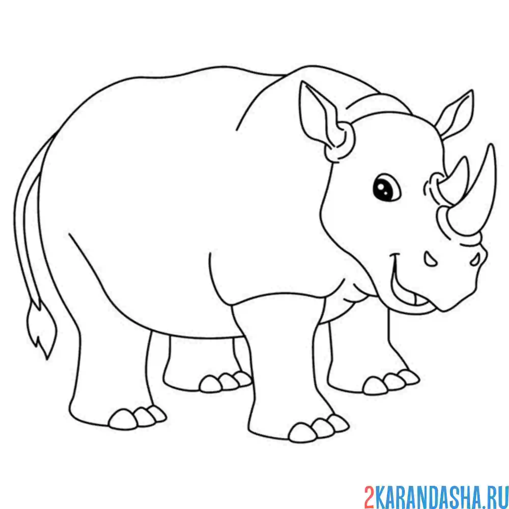 Раскраска носорог сильный
