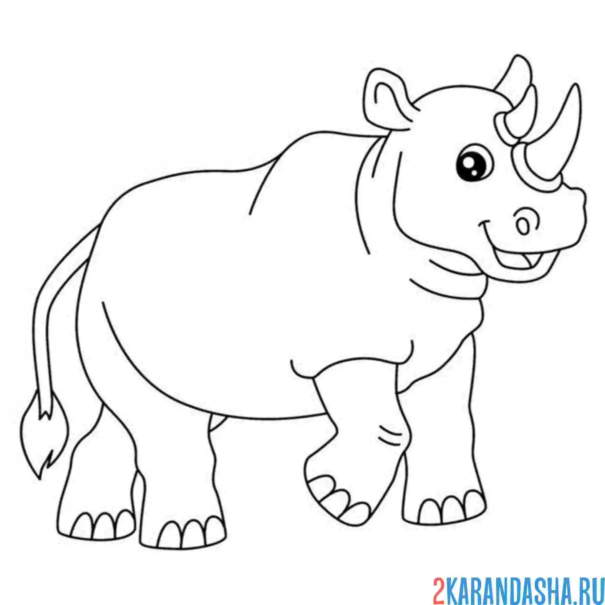 Раскраска носорожек