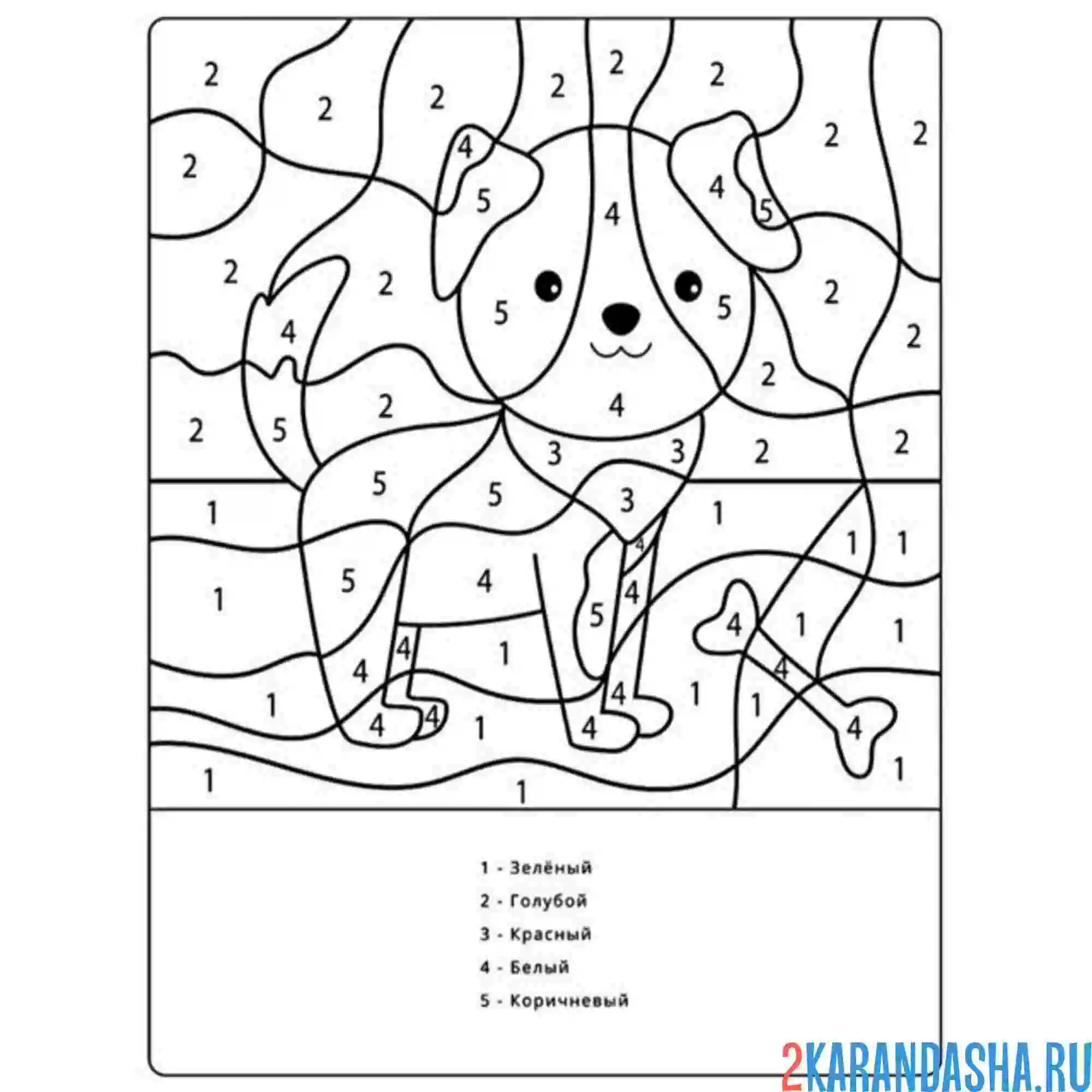 Раскраска по номерам: собачка