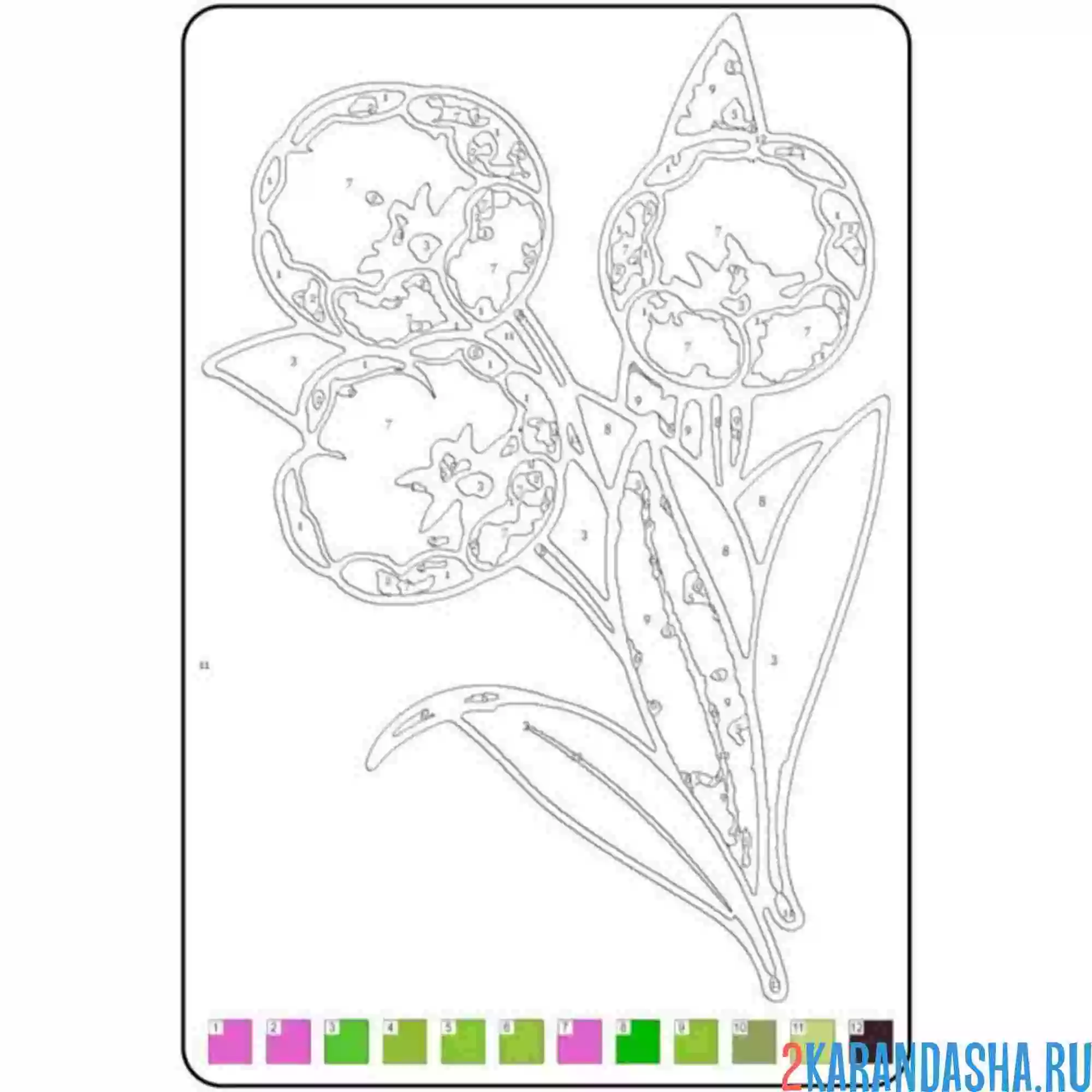 Раскраска картина по номерам: цветок