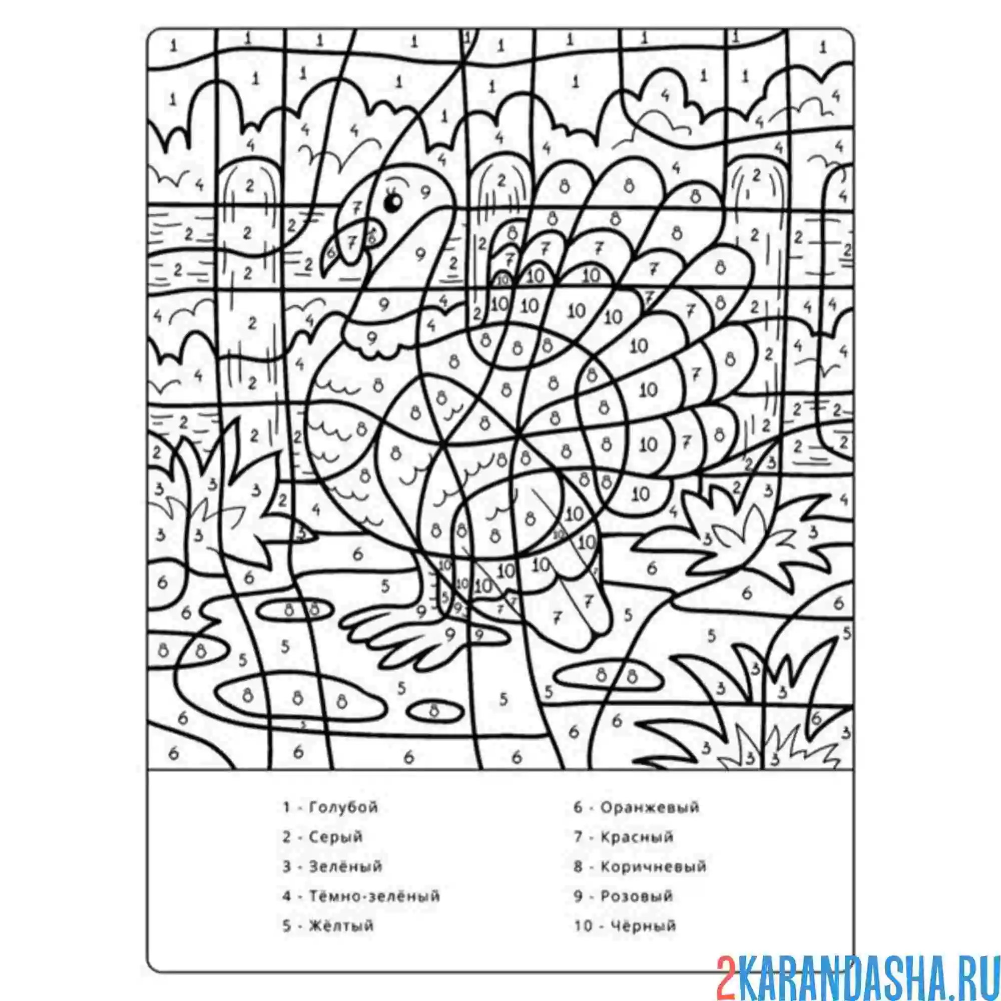 Раскраска по номерам: индюшка