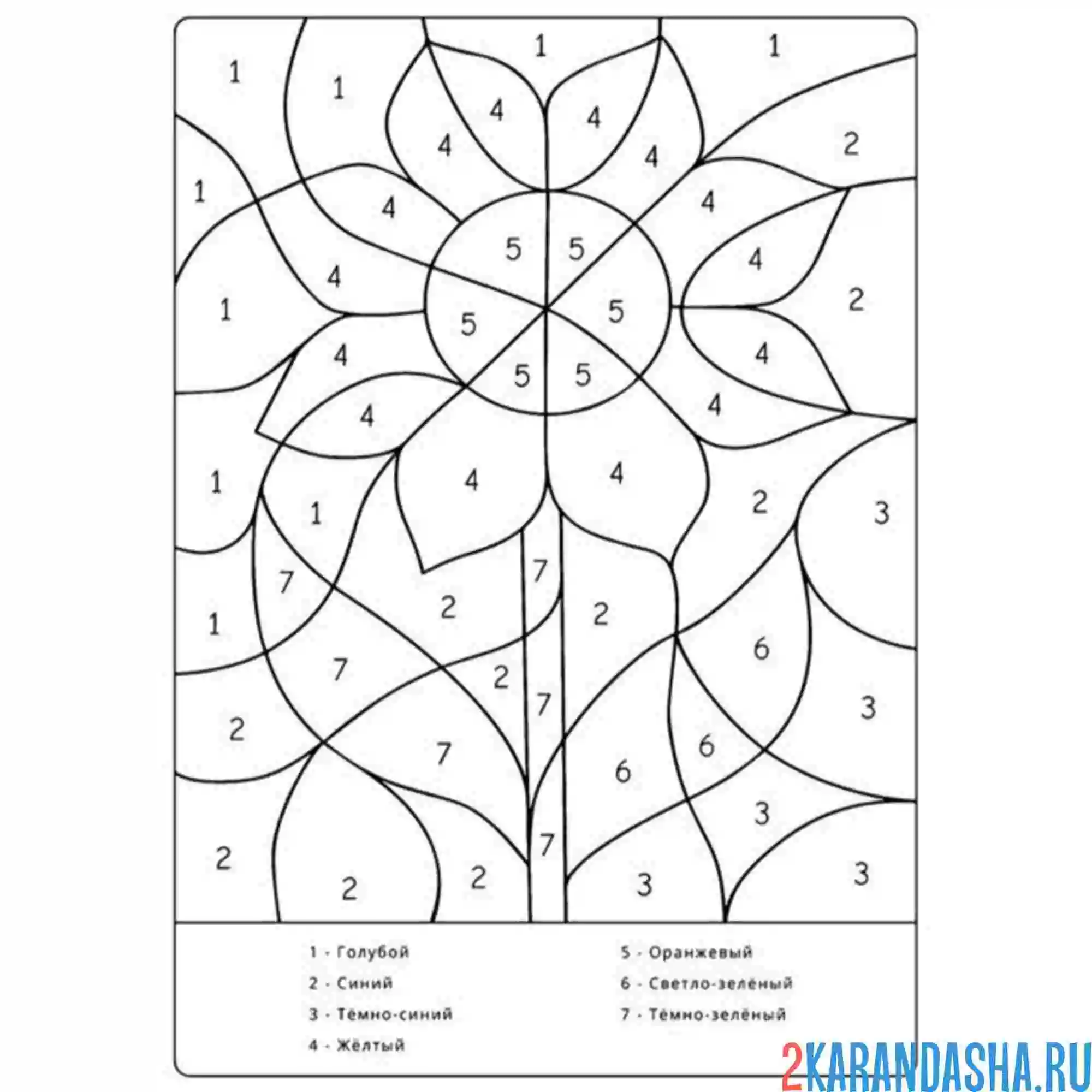 Раскраска по номерам: цветок ромашка