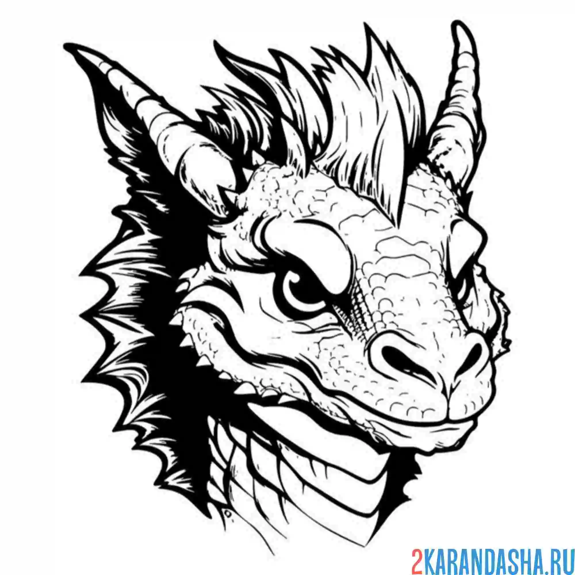 Раскраска голова дракона грозная