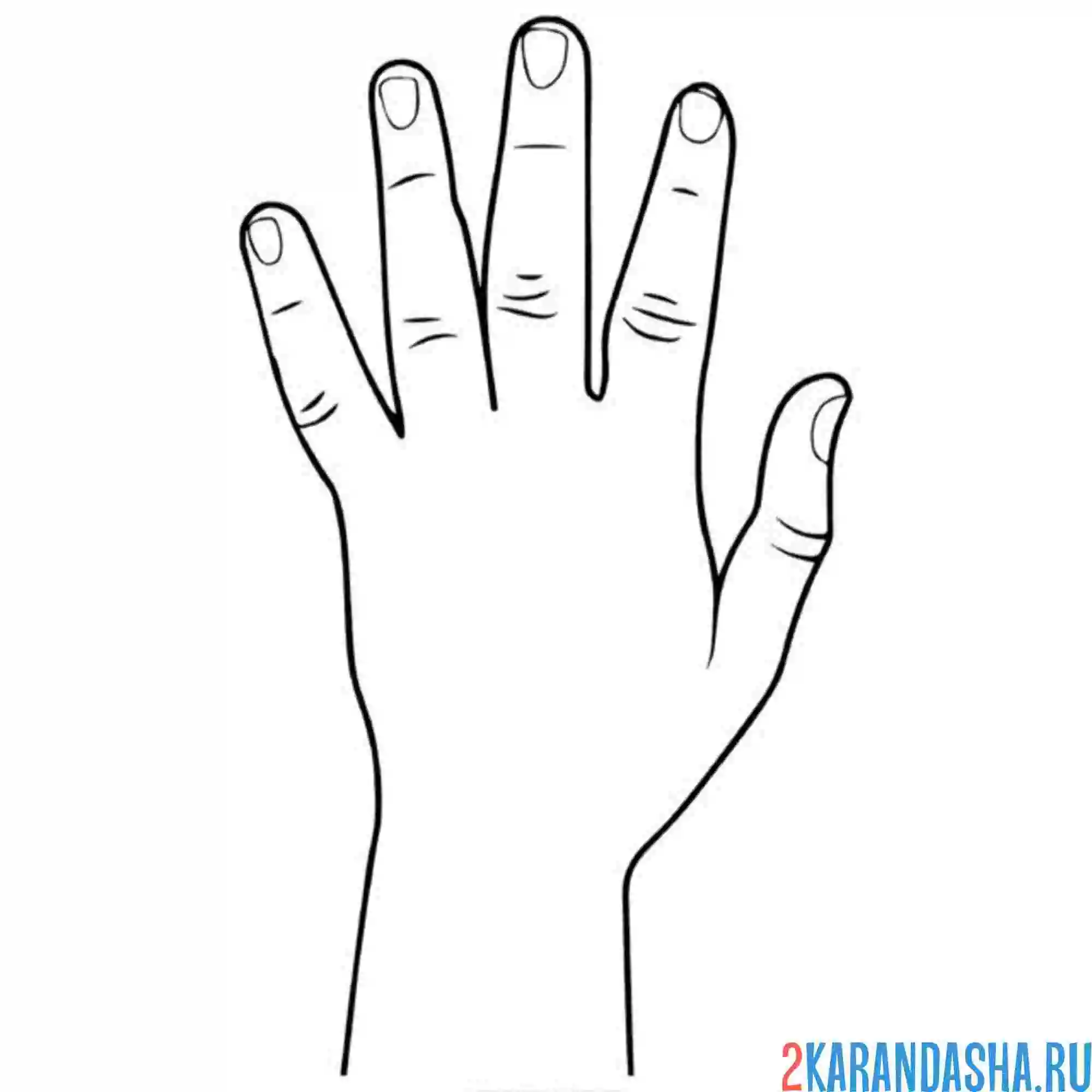 Раскраска левая рука ребенка