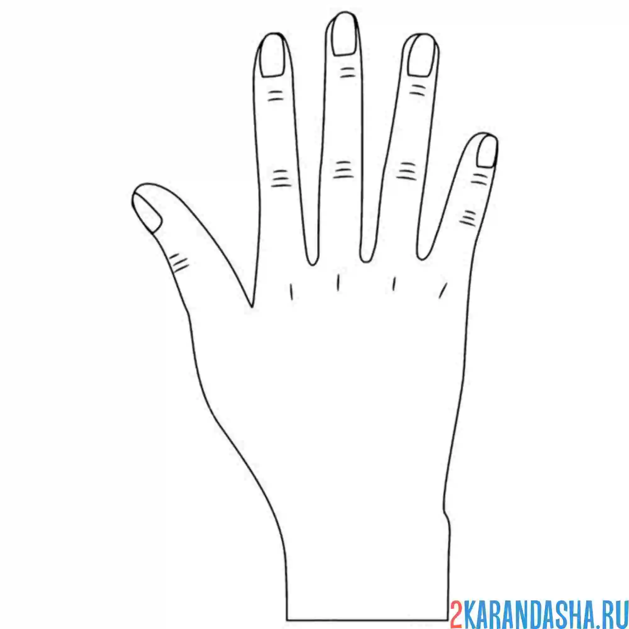 Раскраска правая женская урка