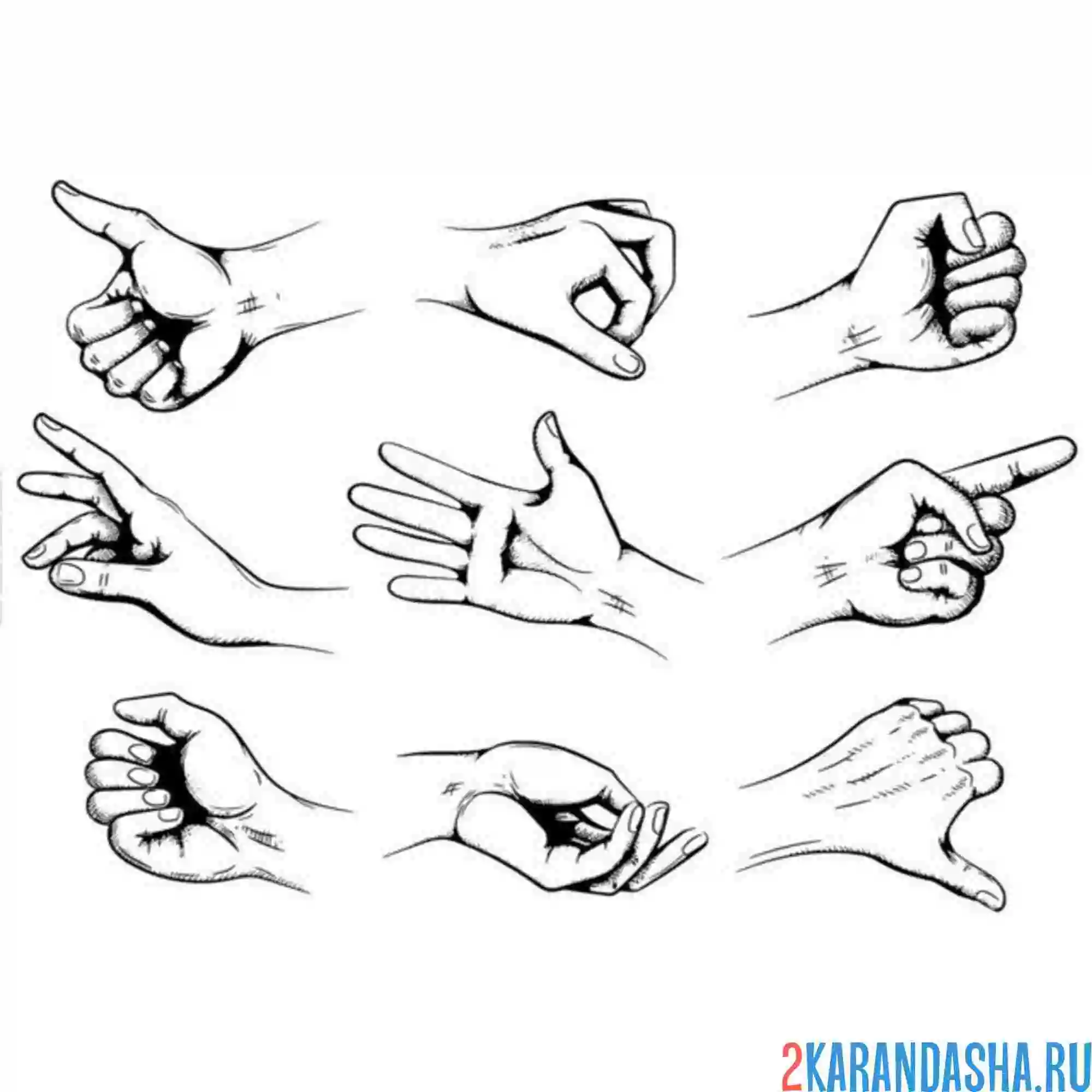 Раскраска жесты рук