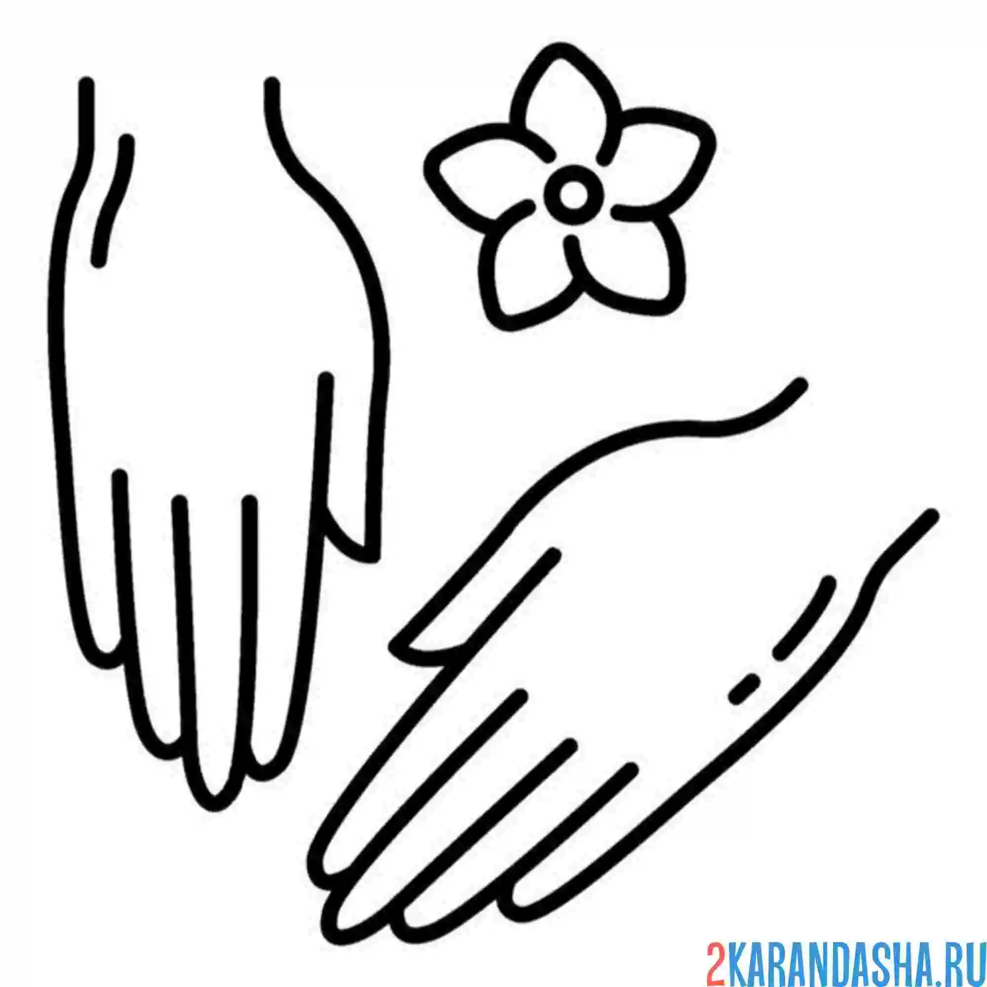 Раскраска руки для салона