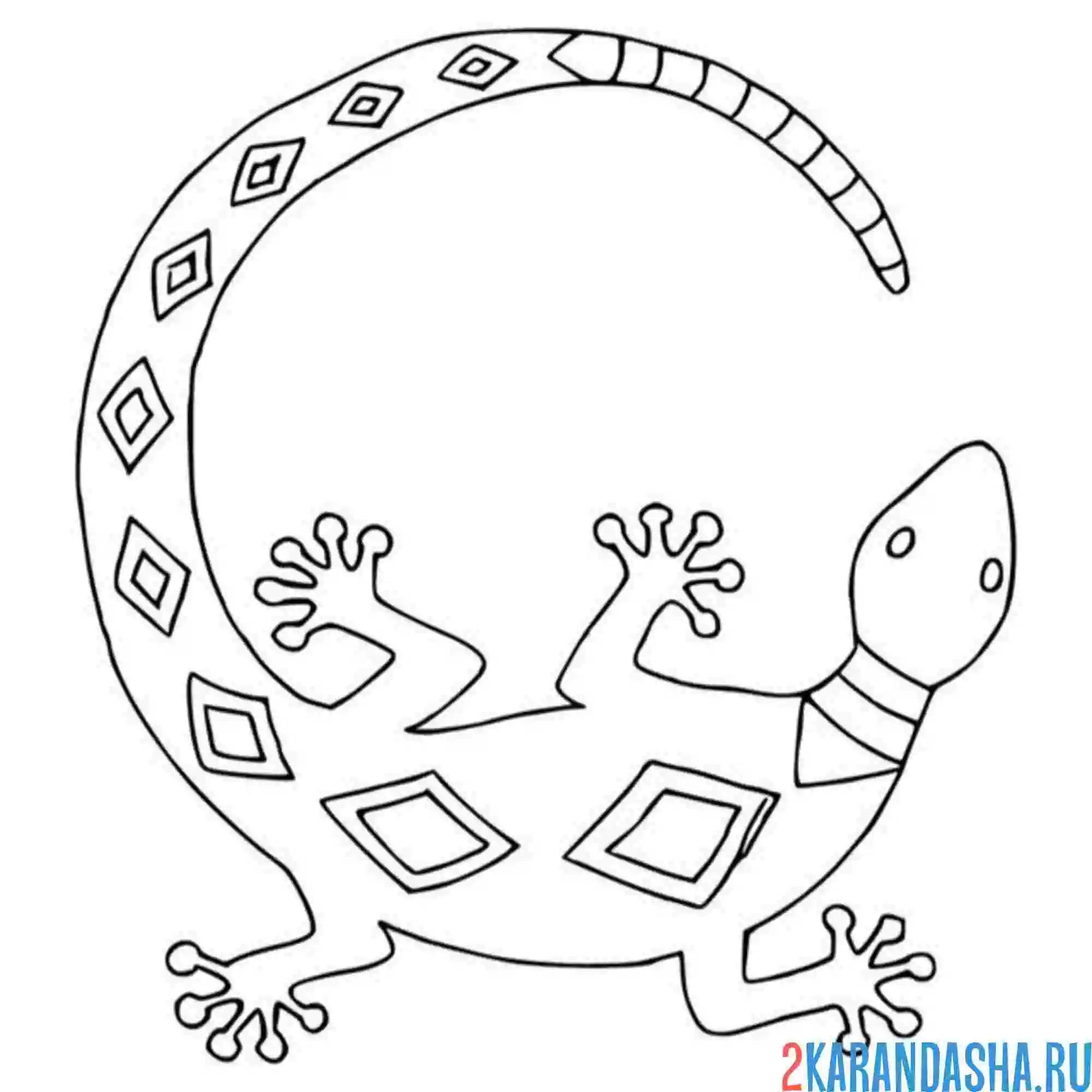 Раскраска ящерица в узорах