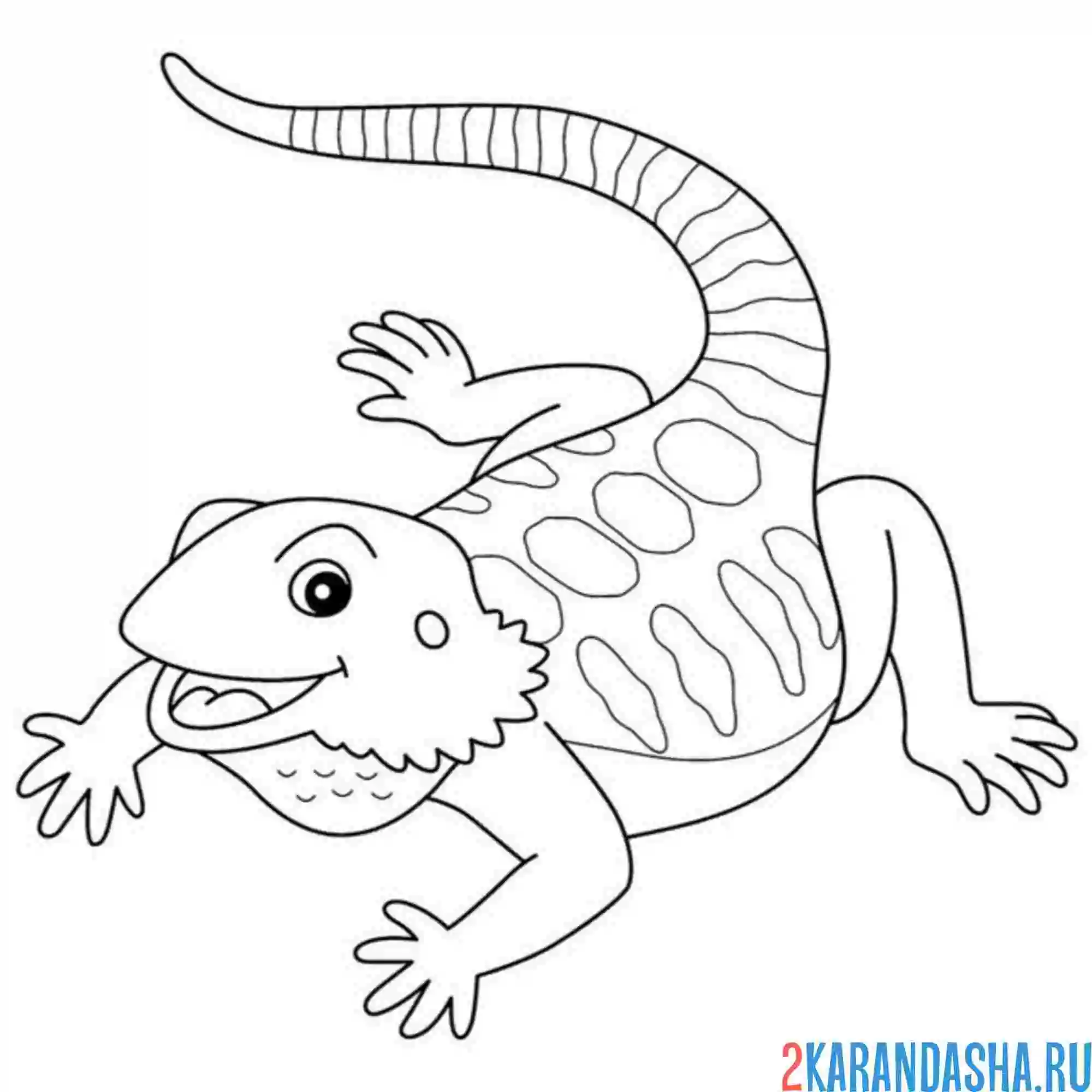 Раскраска игуана ящерица