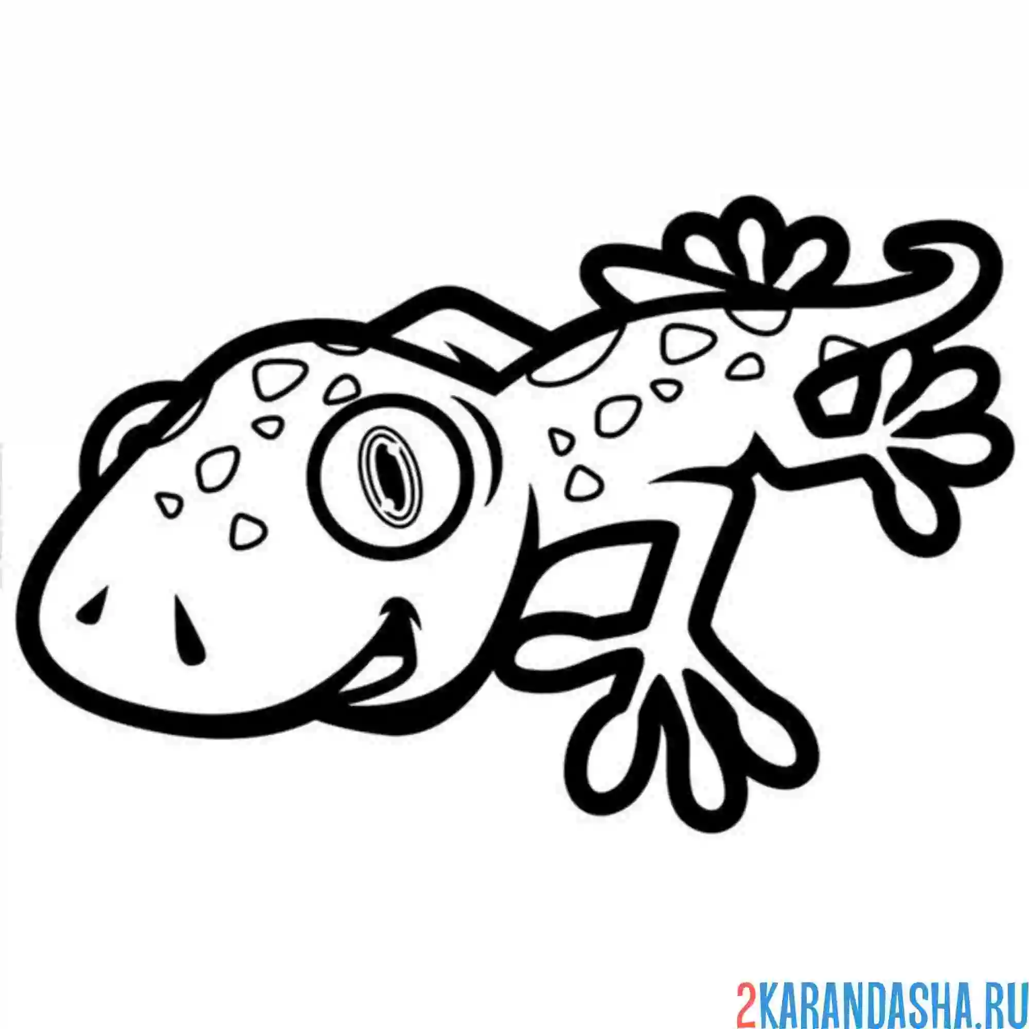 Раскраска ящерка