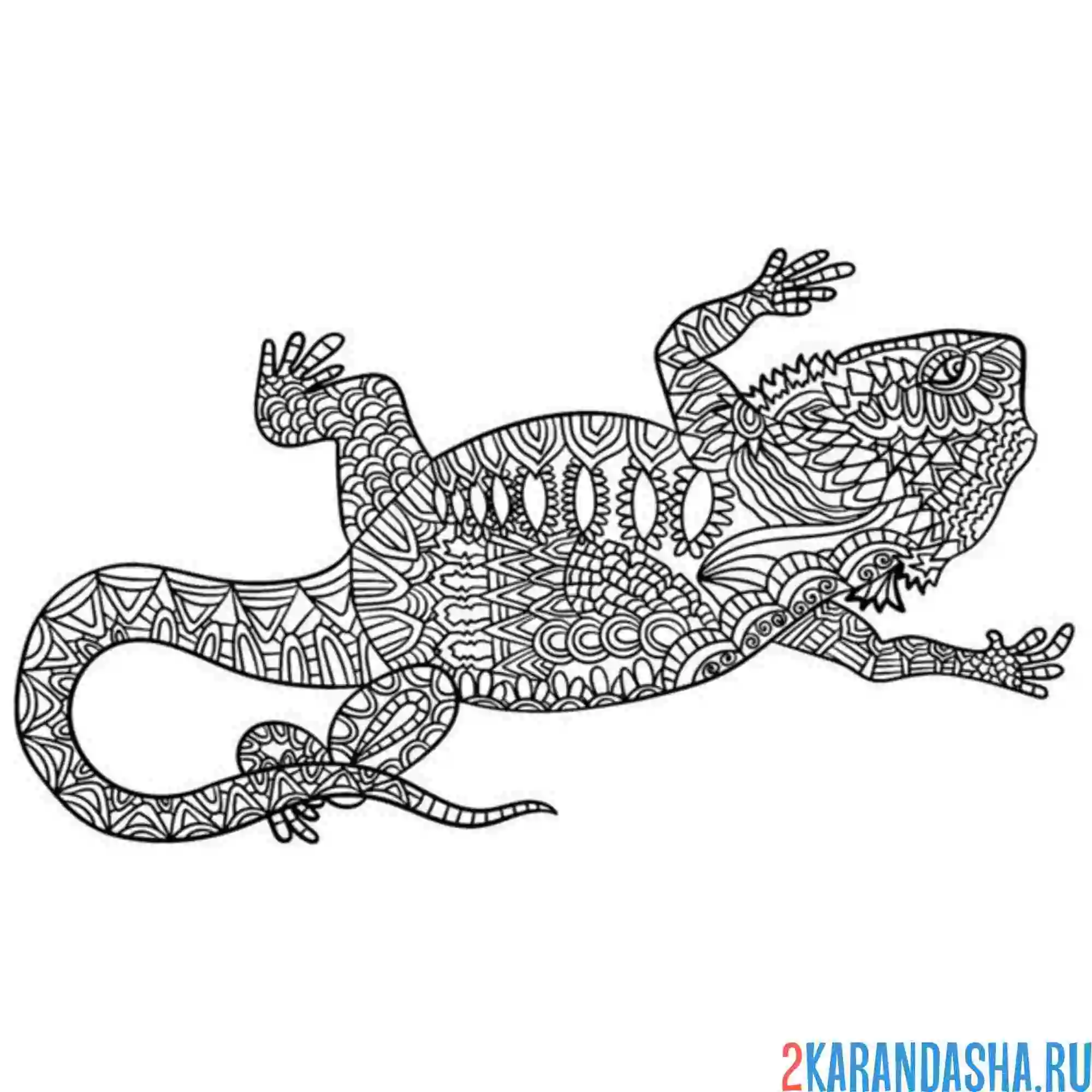 Раскраска игуана антистресс