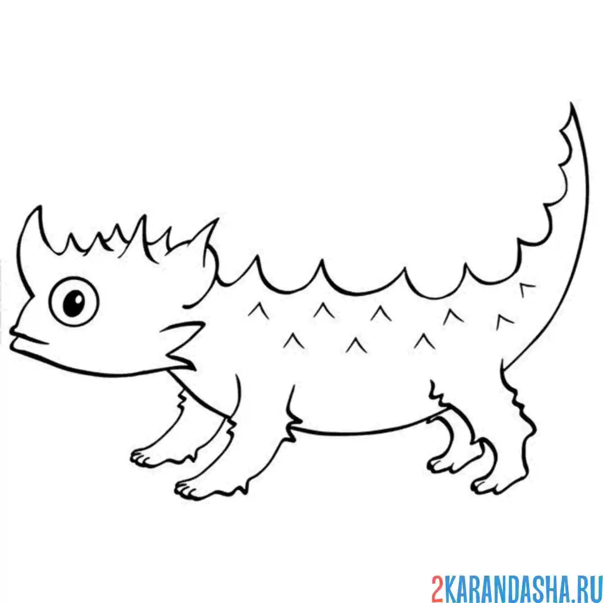 Раскраска молох – «колючий дьявол» ящерица