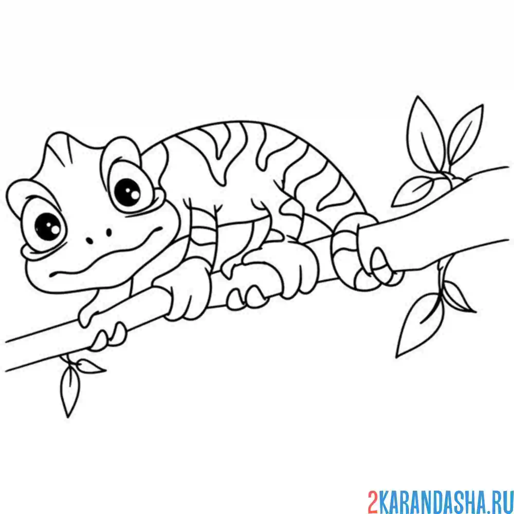 Раскраска малыш хамелеон