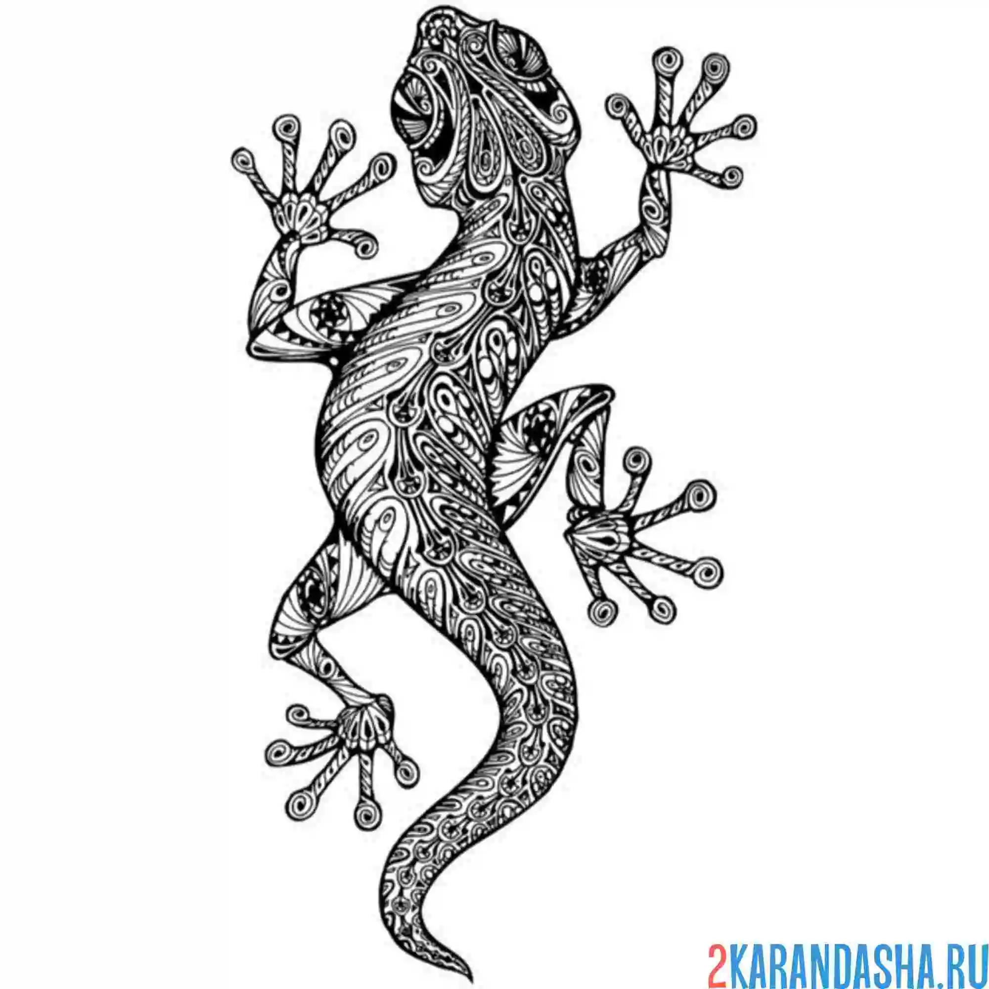 Раскраска ящерица ползает