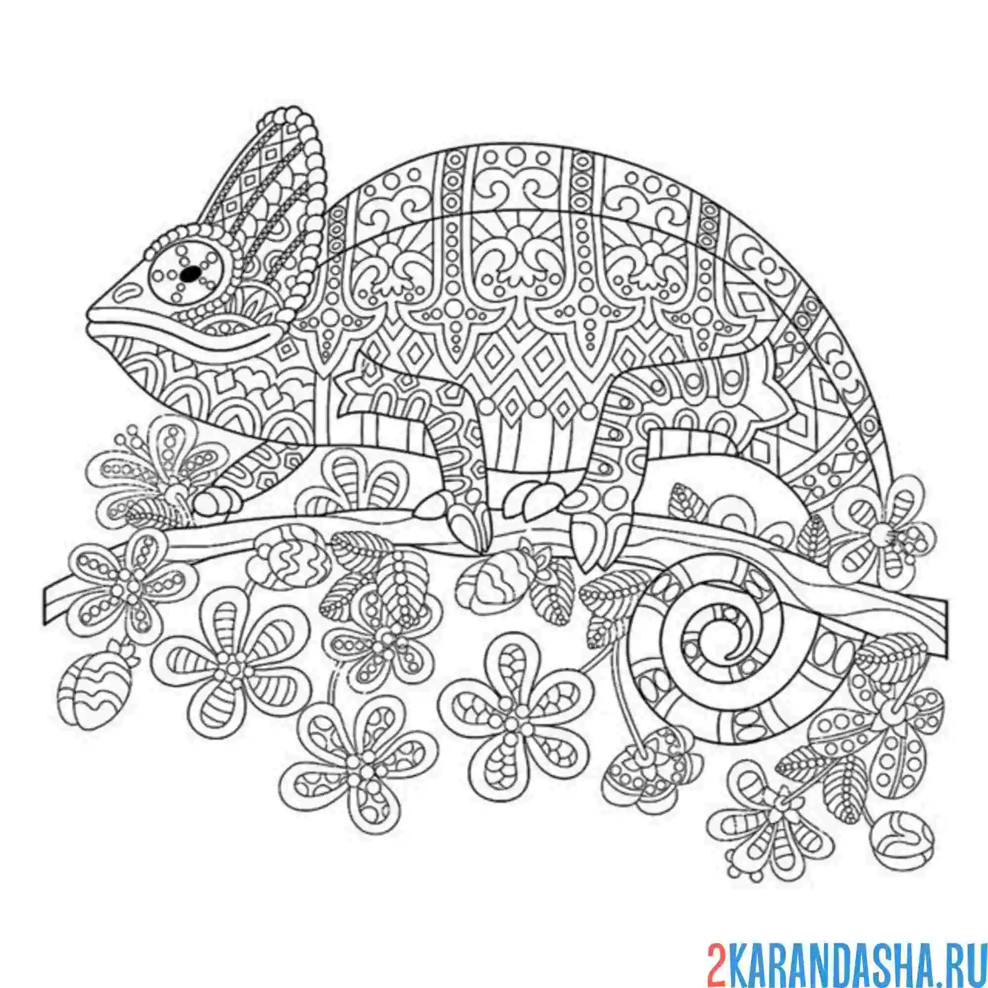 Раскраска антистресс хамелеон