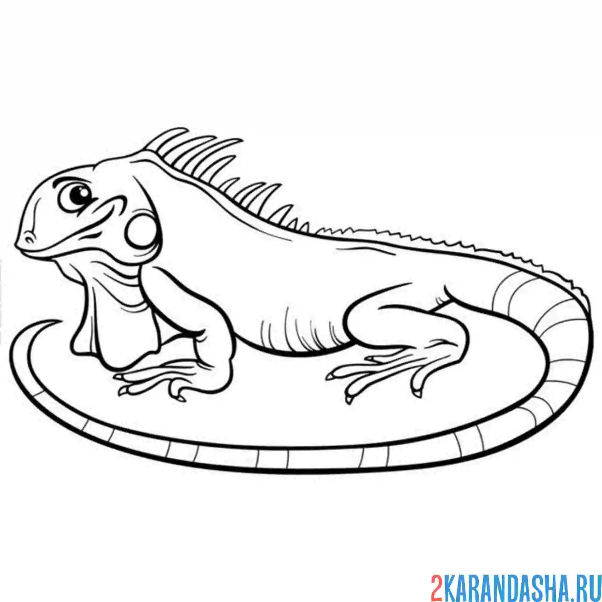 Раскраска игуана одна