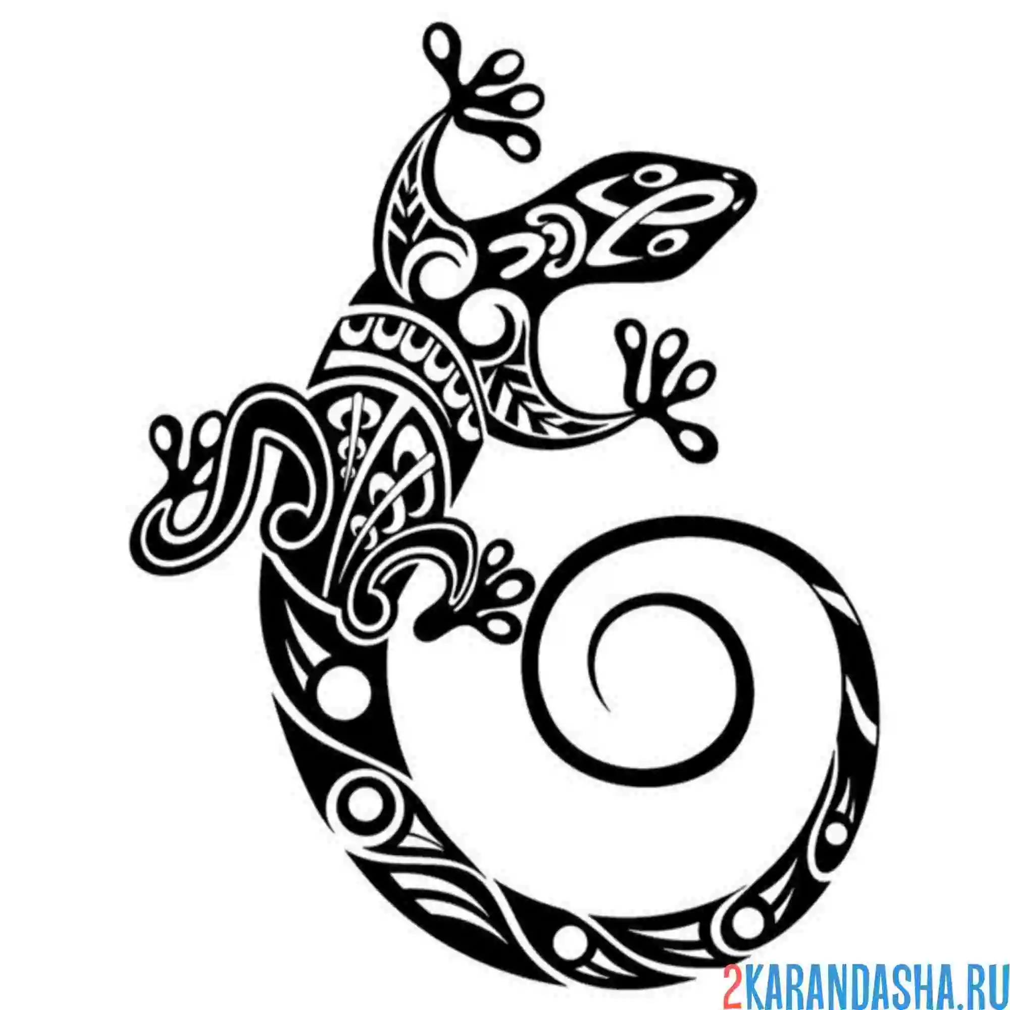 Раскраска ящерица для татуировки