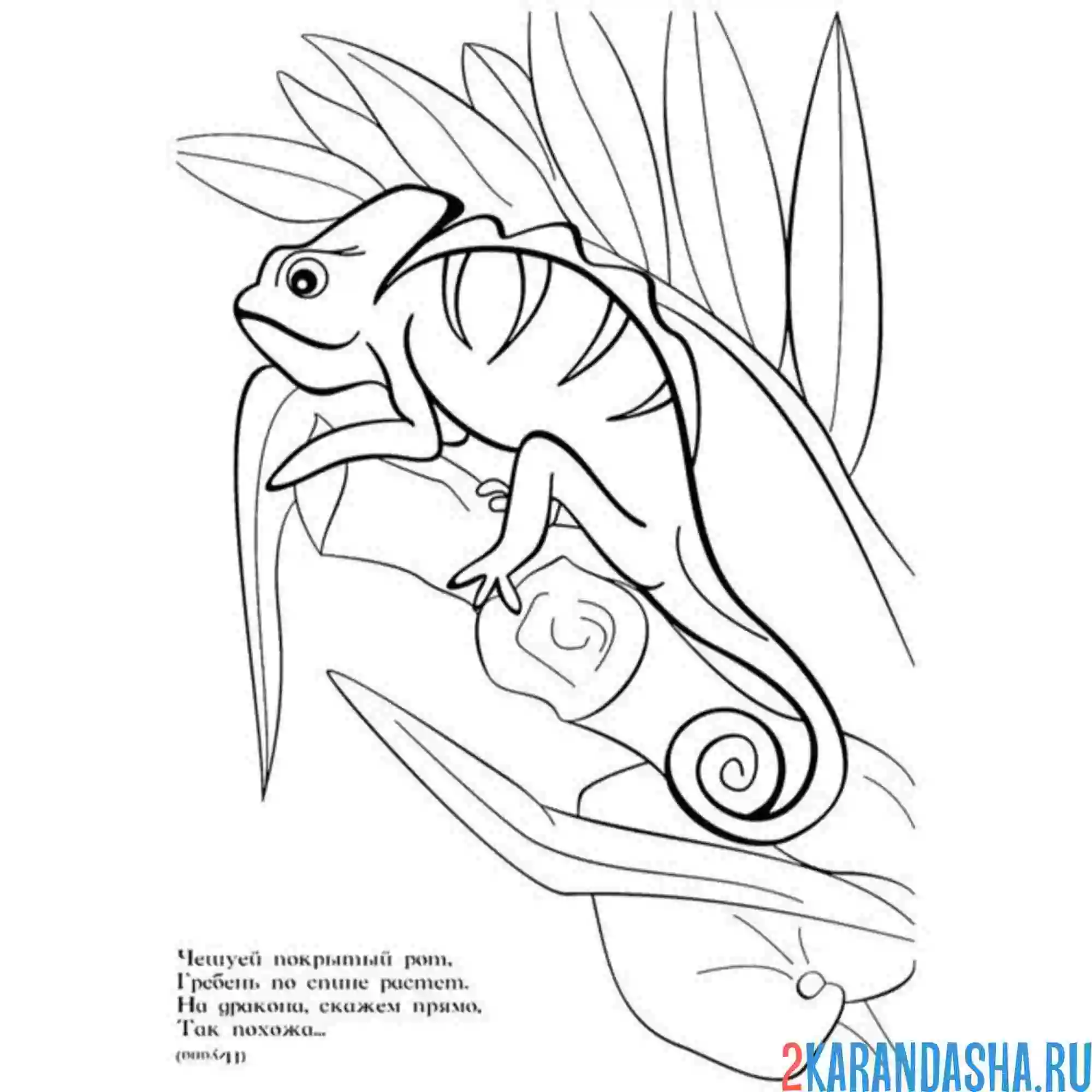 Раскраска хамелеон в листьях