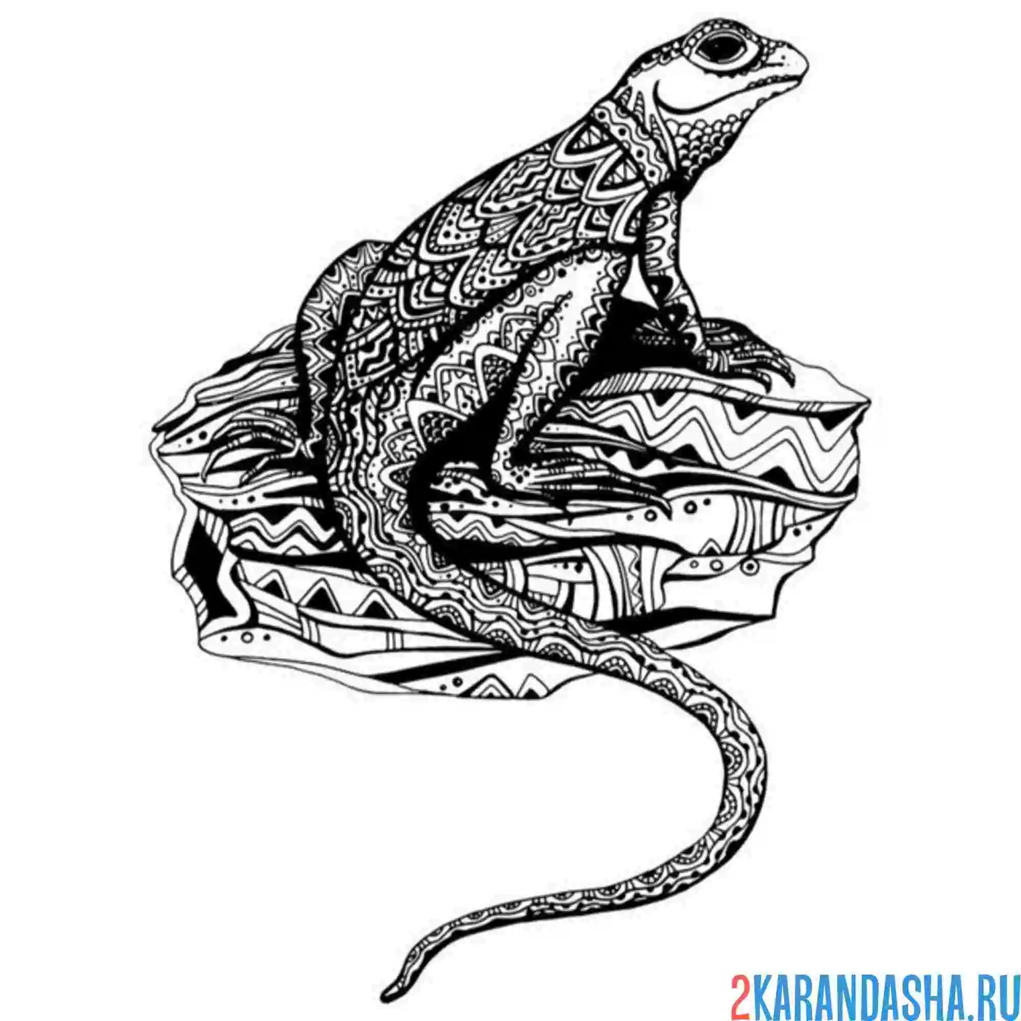 Раскраска узоры на ящерице