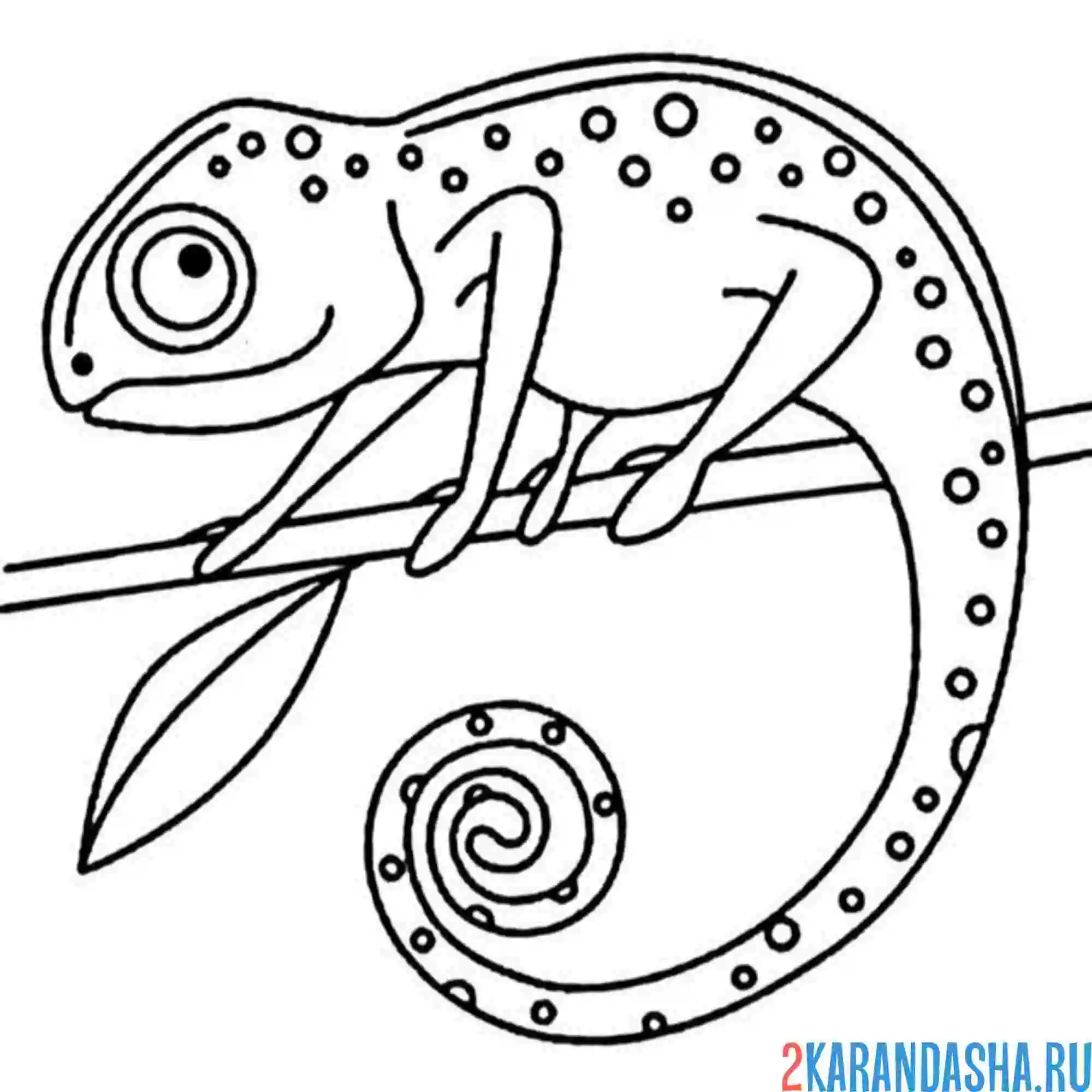 Раскраска хамелеон и листочек