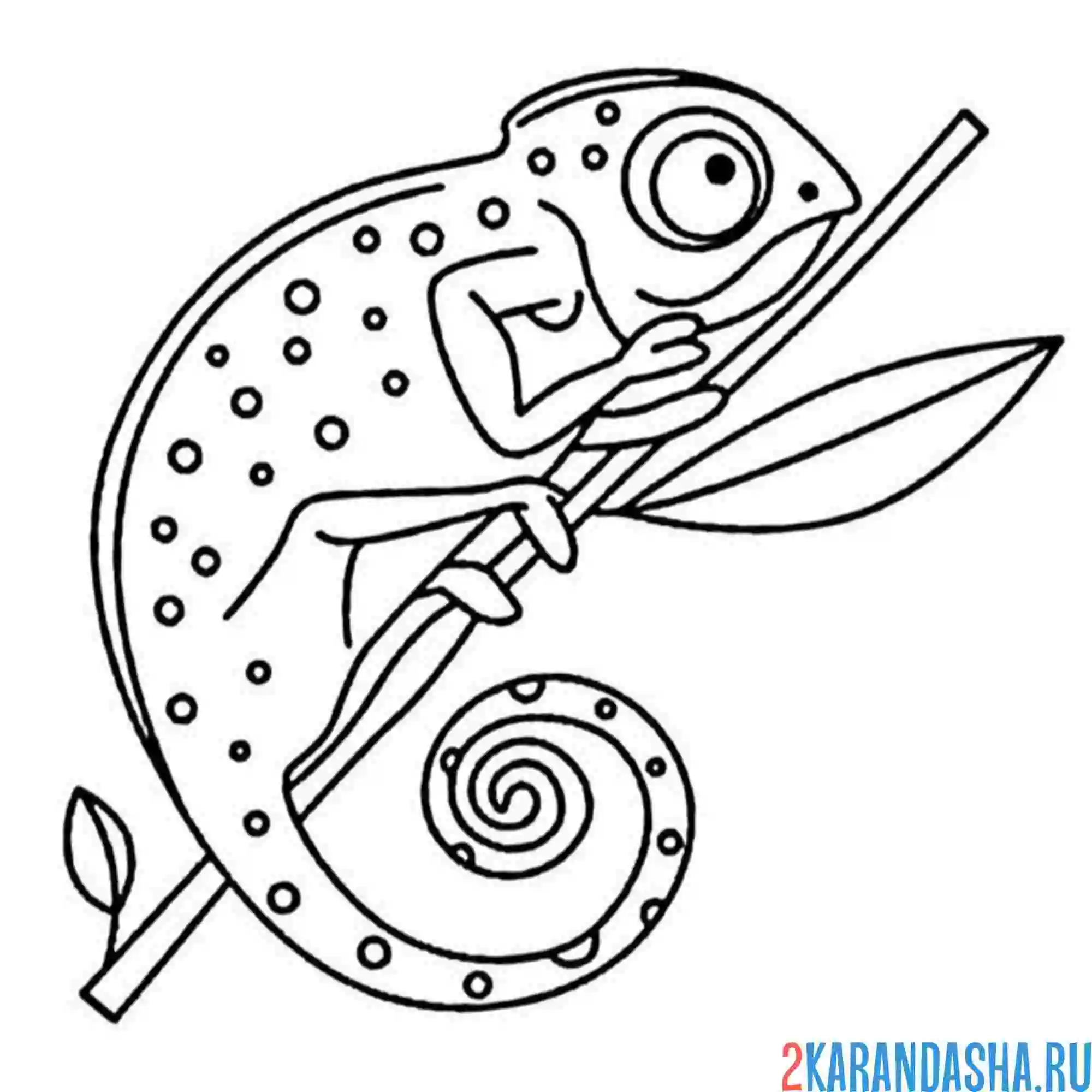 Раскраска хамелеон притаился