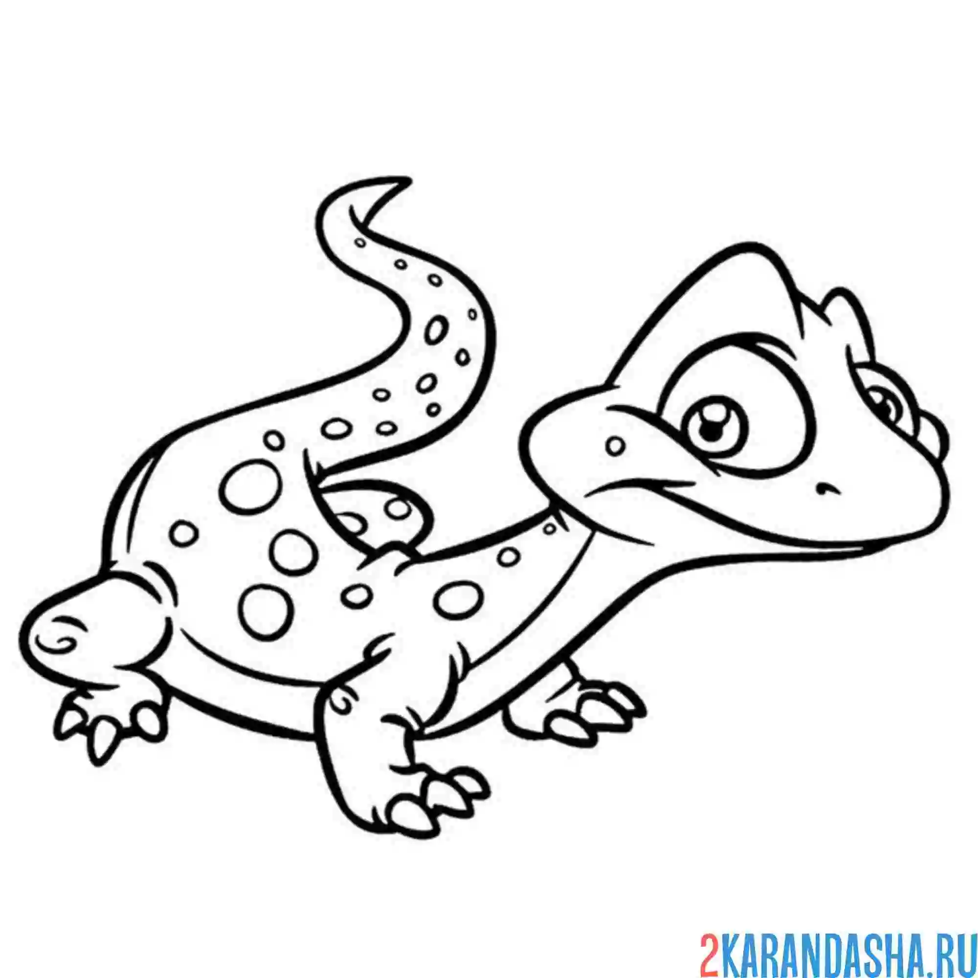 Раскраска мультяшная ящерица